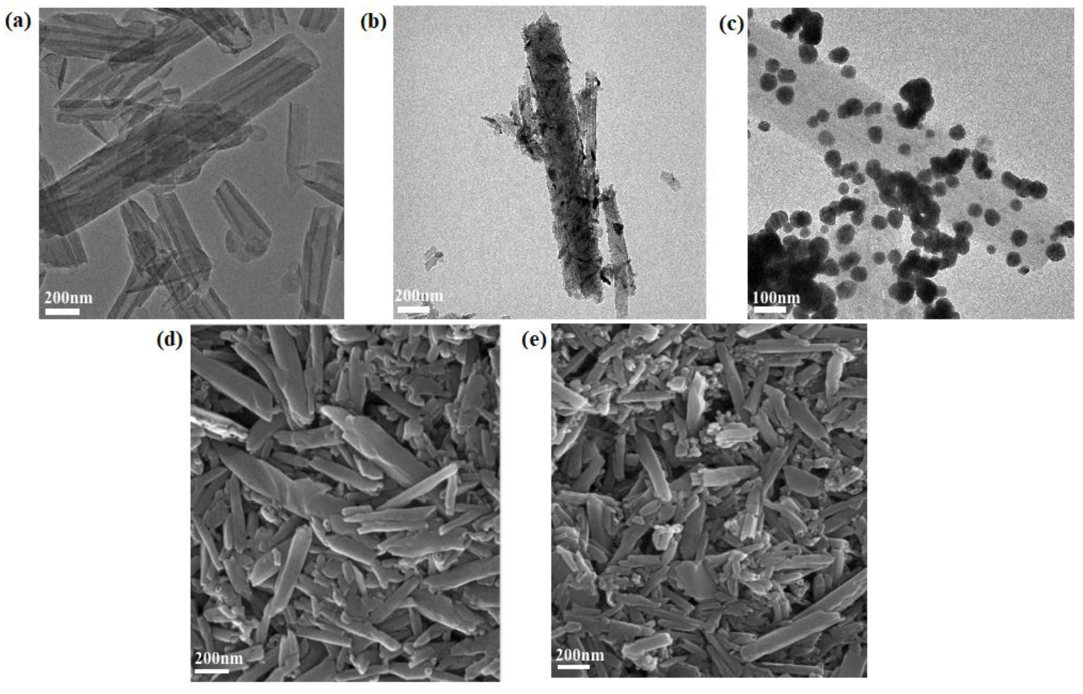 Biosensors 12 00387 g001