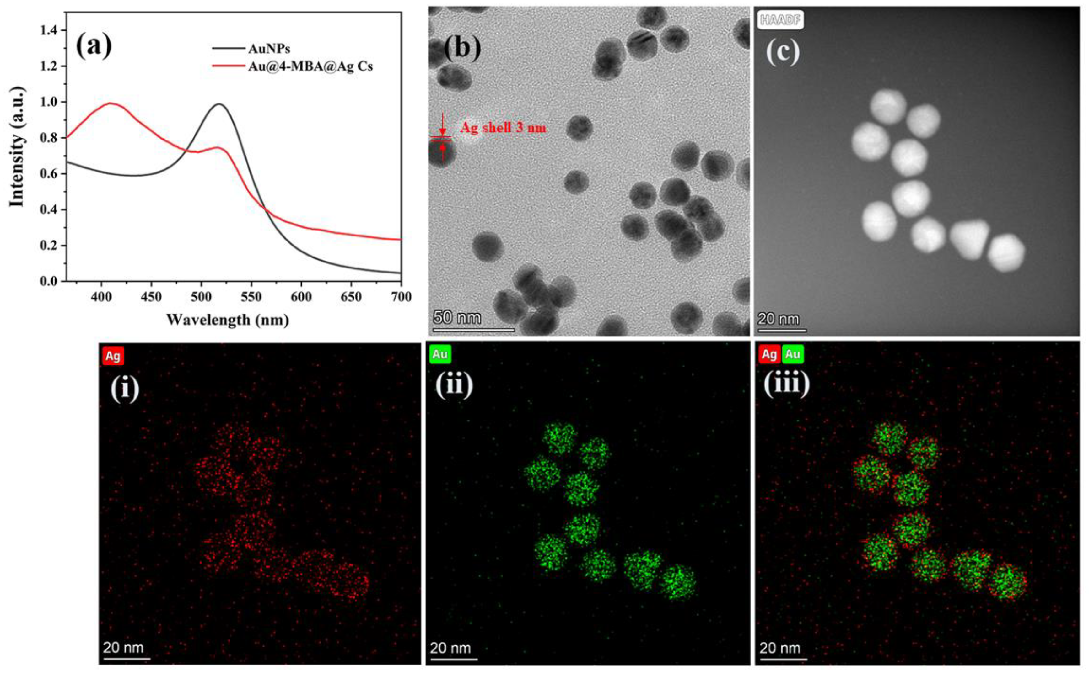 Biosensors 12 00387 g002