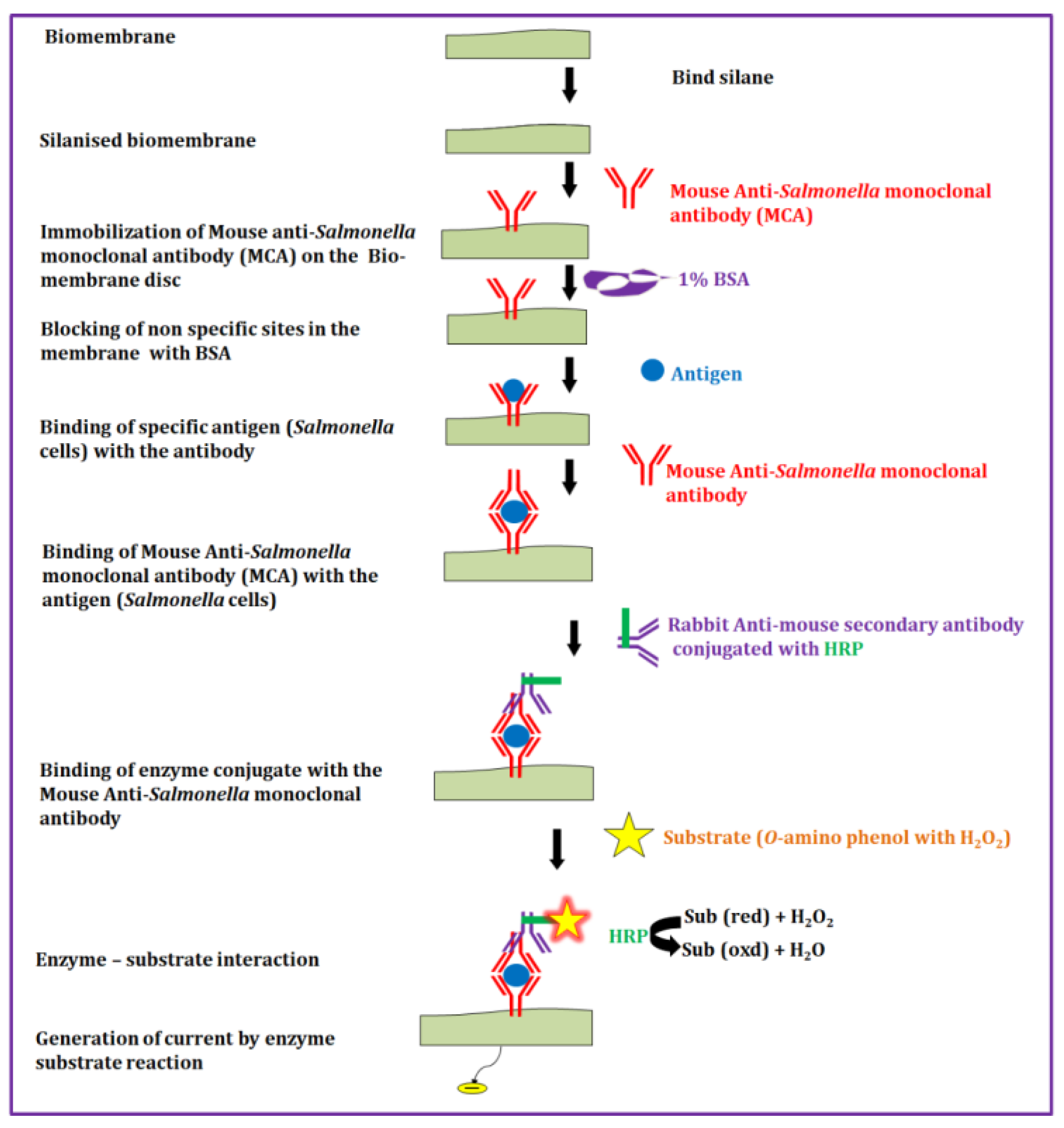 Biosensors 12 00389 g001