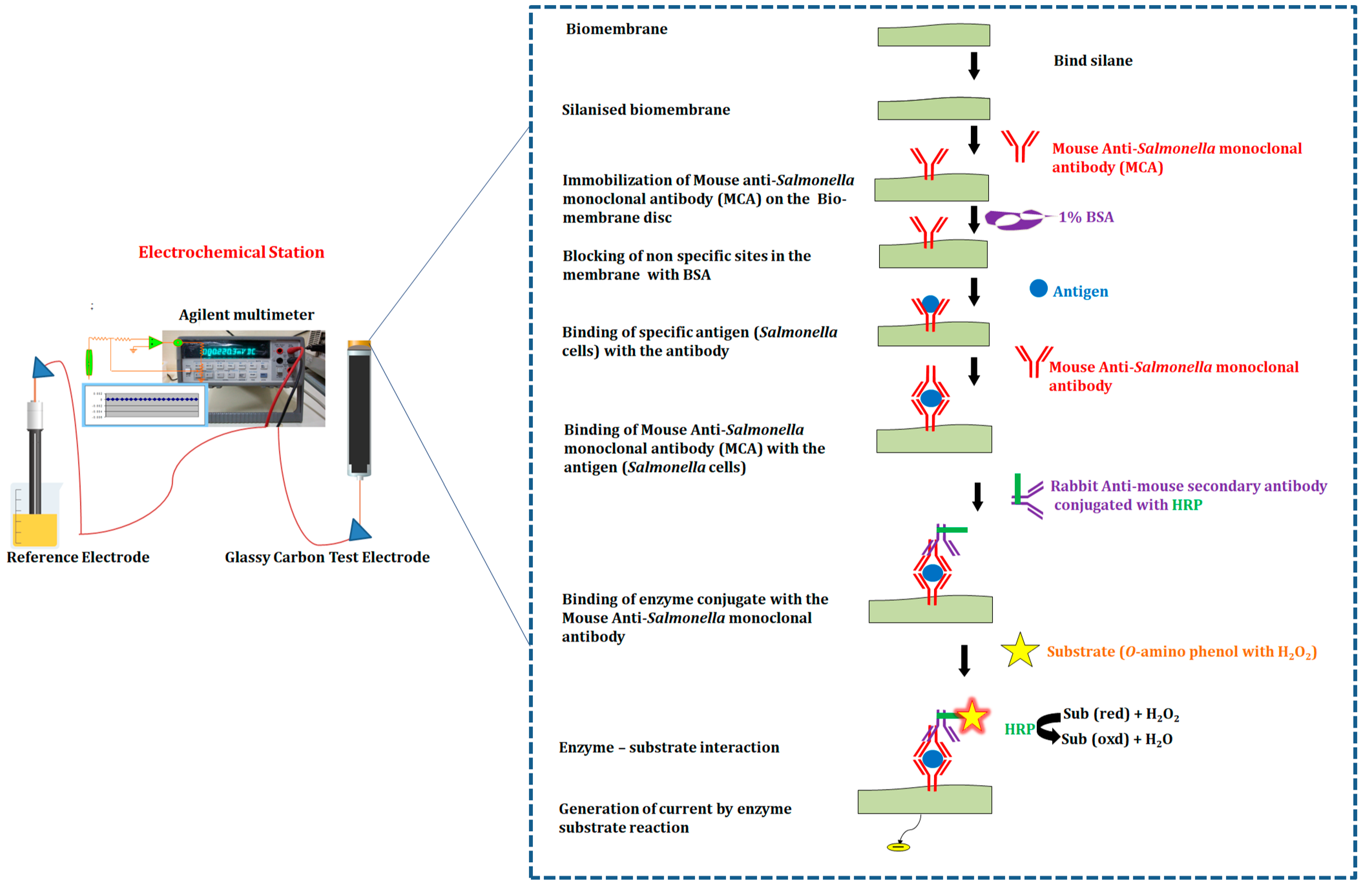 Biosensors 12 00389 g007