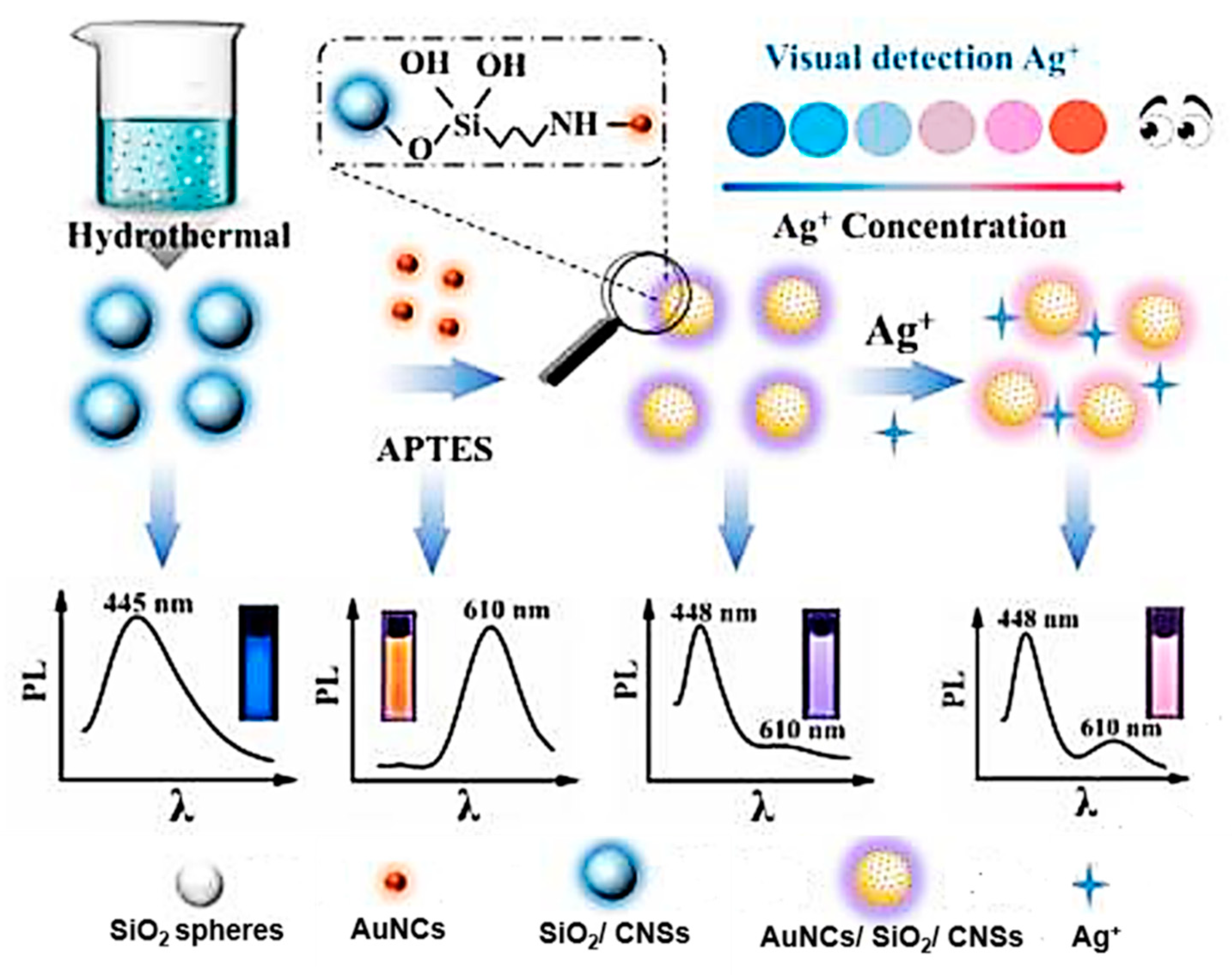 Biosensors 12 00392 g005 Biosensors 12 00392 g005