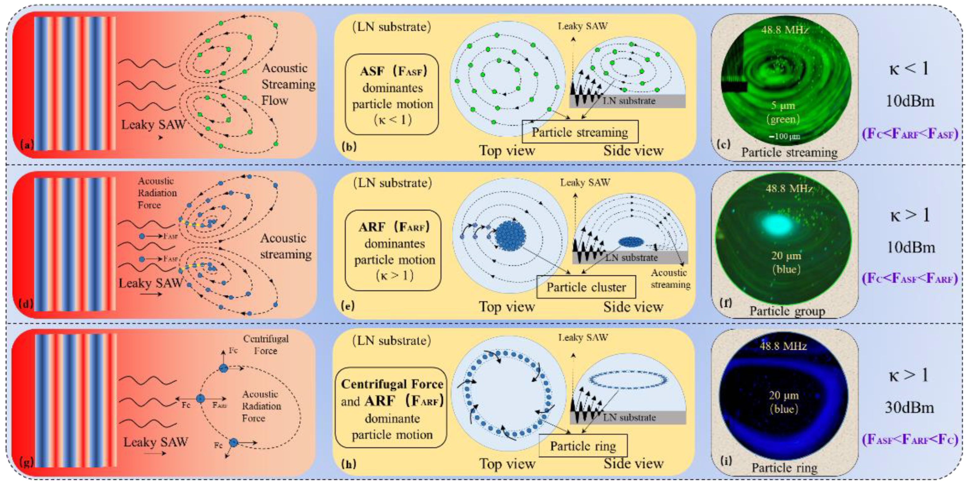 Biosensors 12 00399 g002