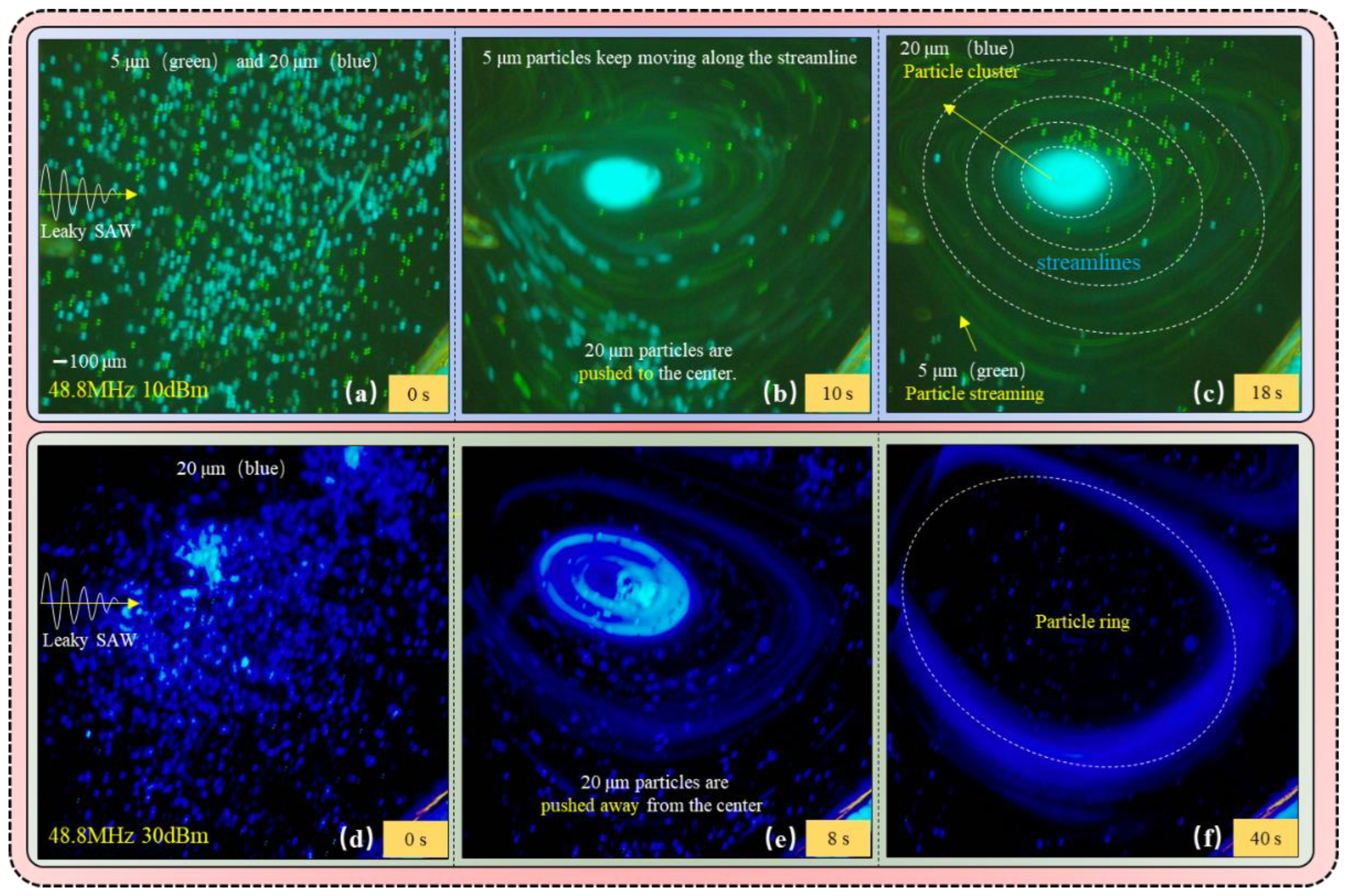 Biosensors 12 00399 g004