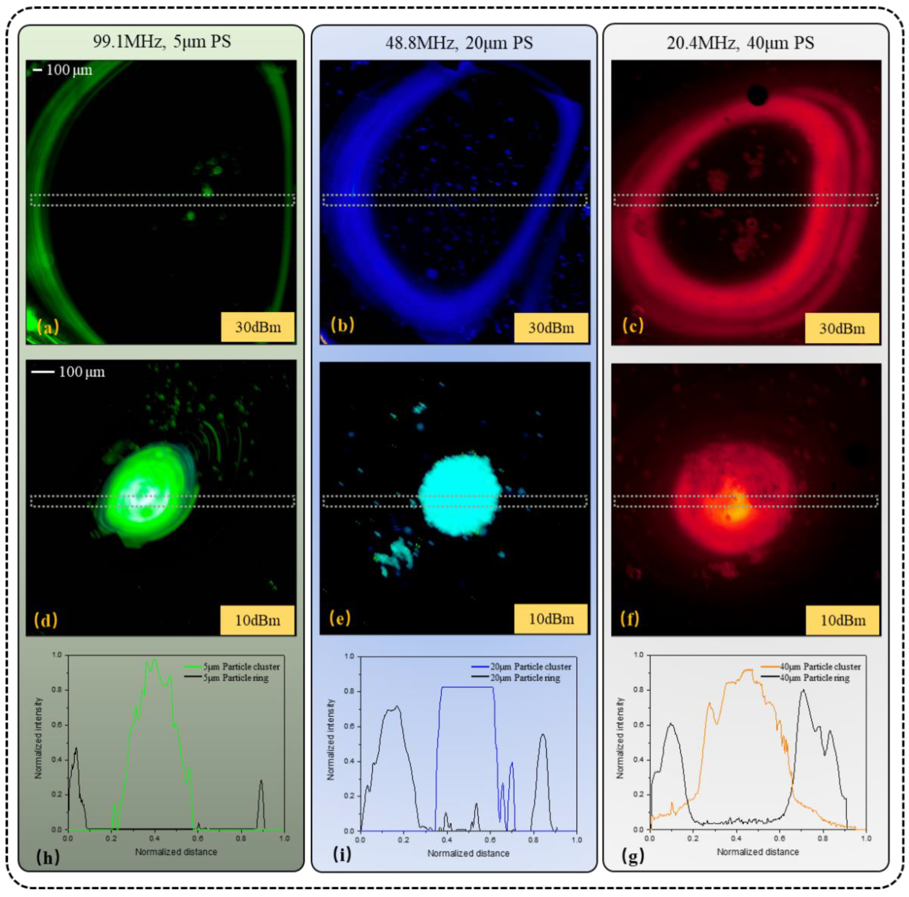 Biosensors 12 00399 g005