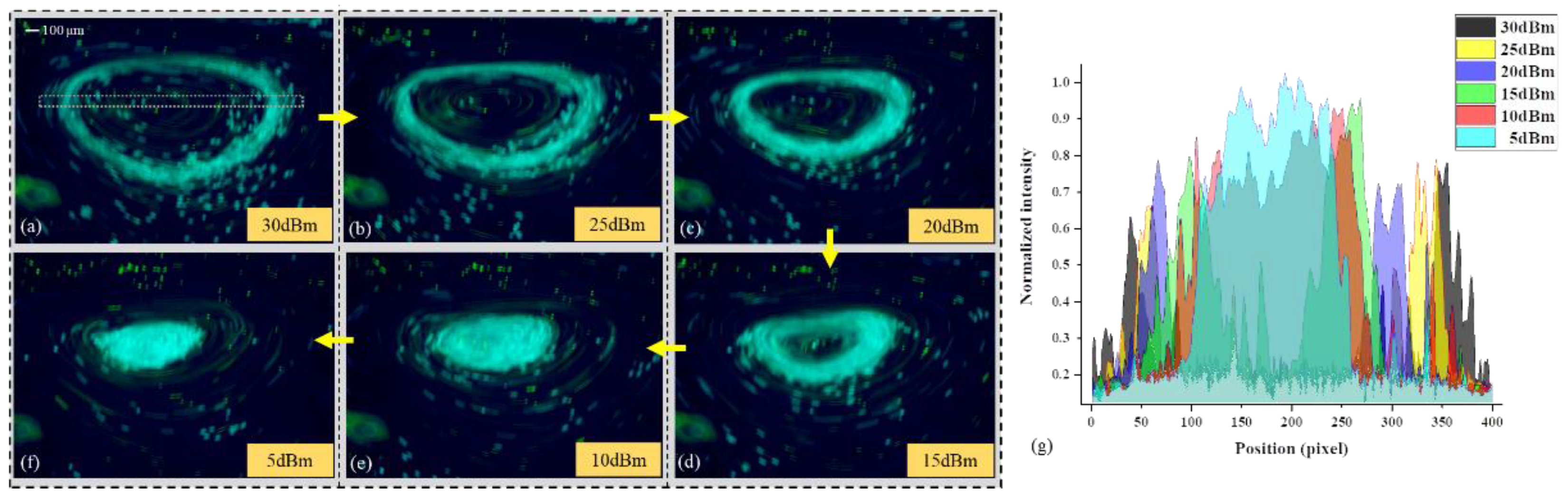 Biosensors 12 00399 g006