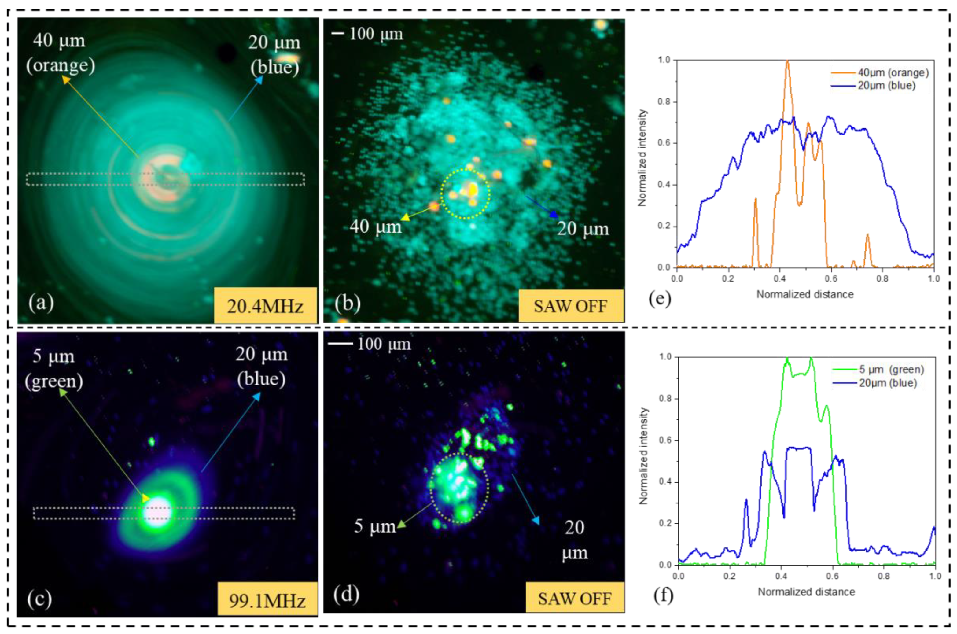 Biosensors 12 00399 g009