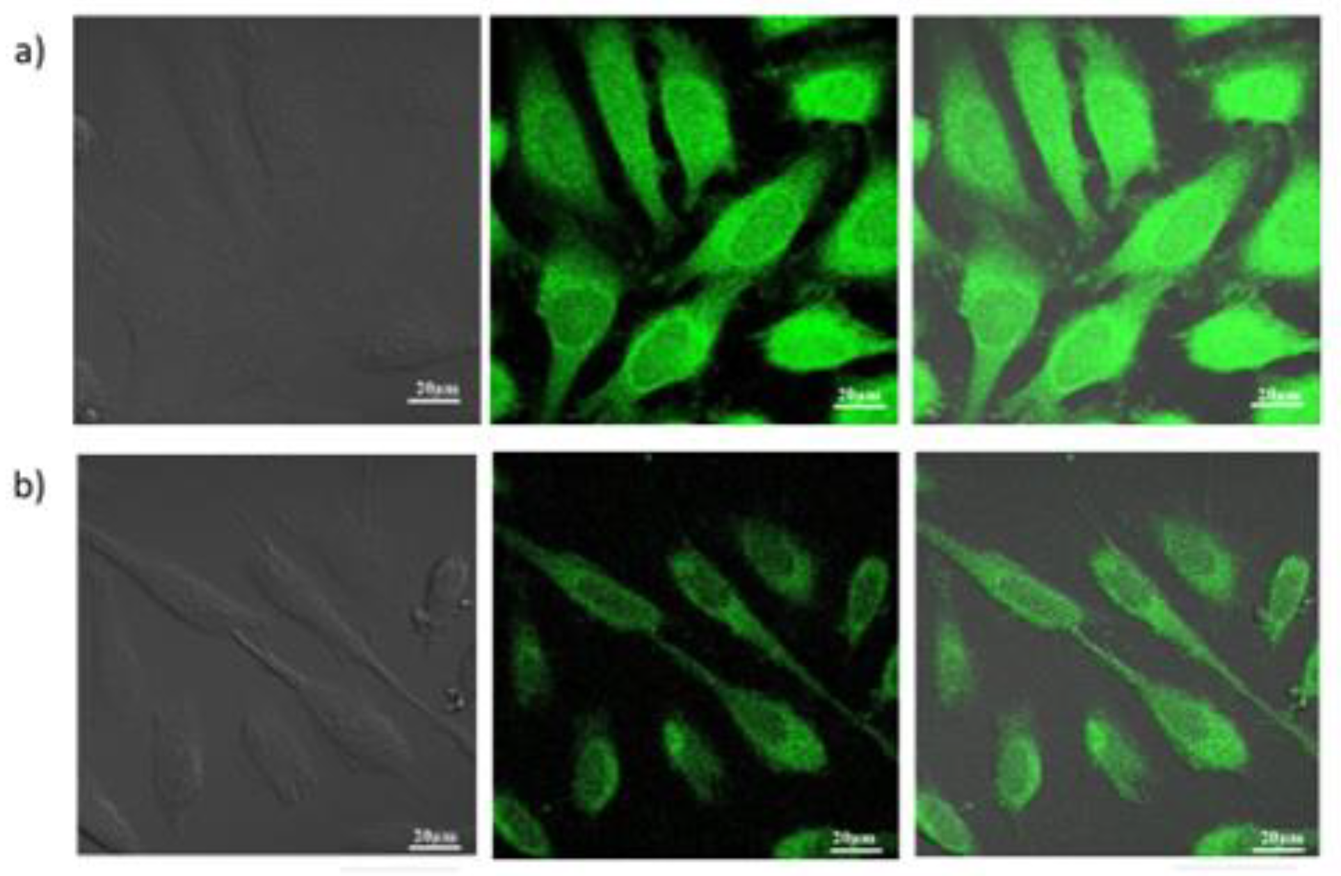Biosensors 12 00420 g005