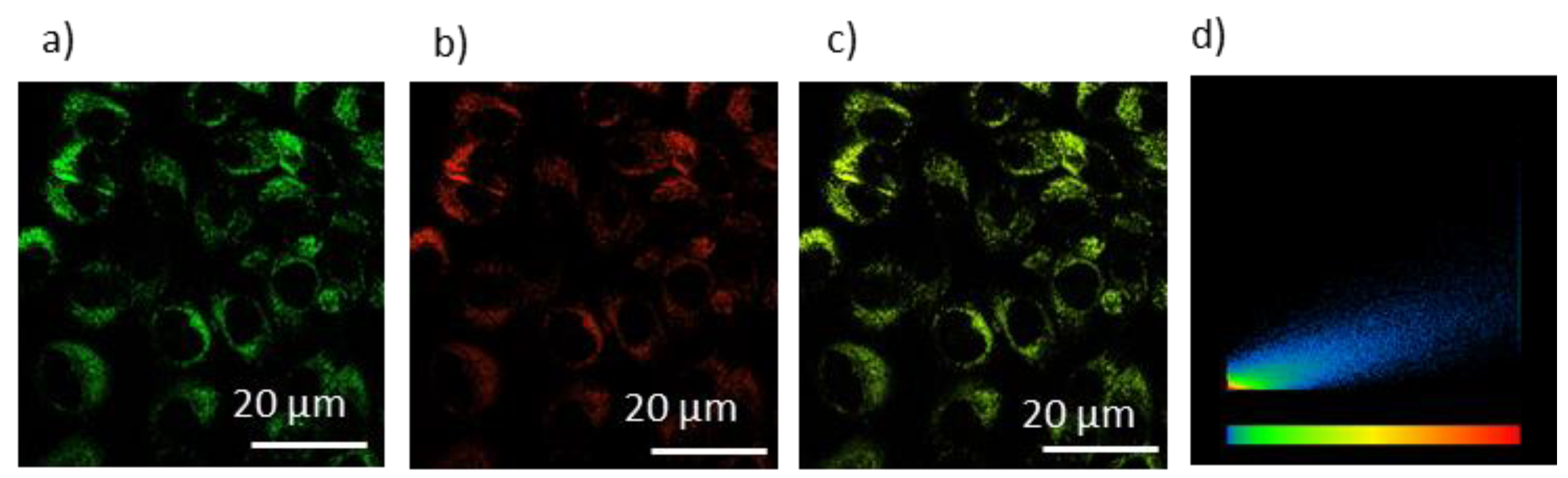 Biosensors 12 00420 g006