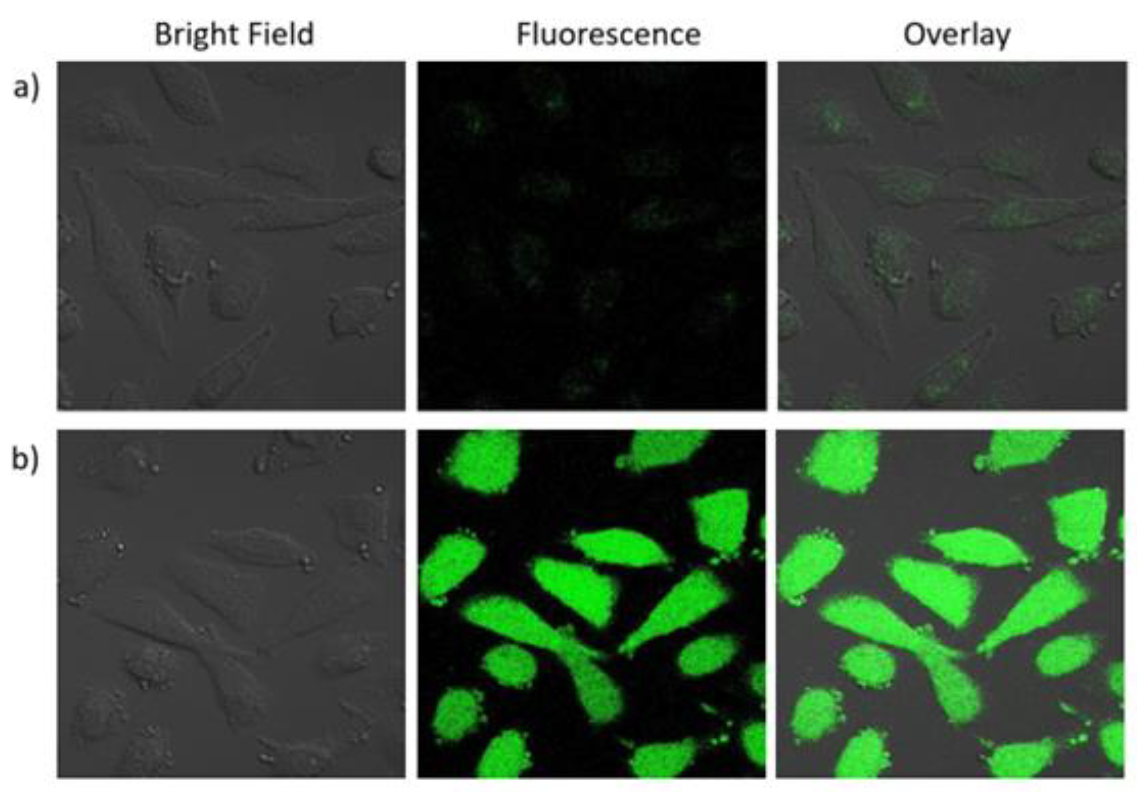 Biosensors 12 00420 g008