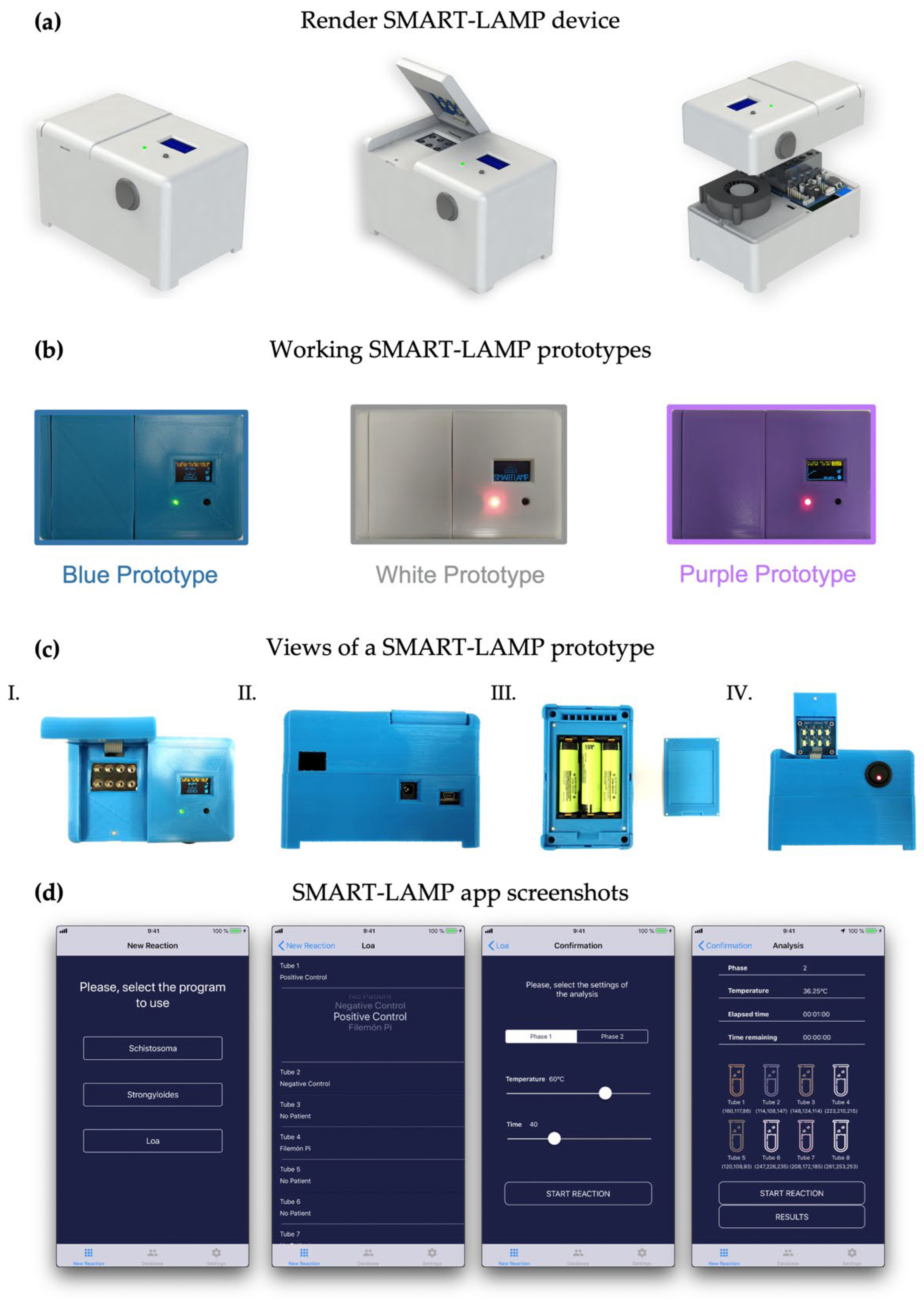 Biosensors 12 00424 g001