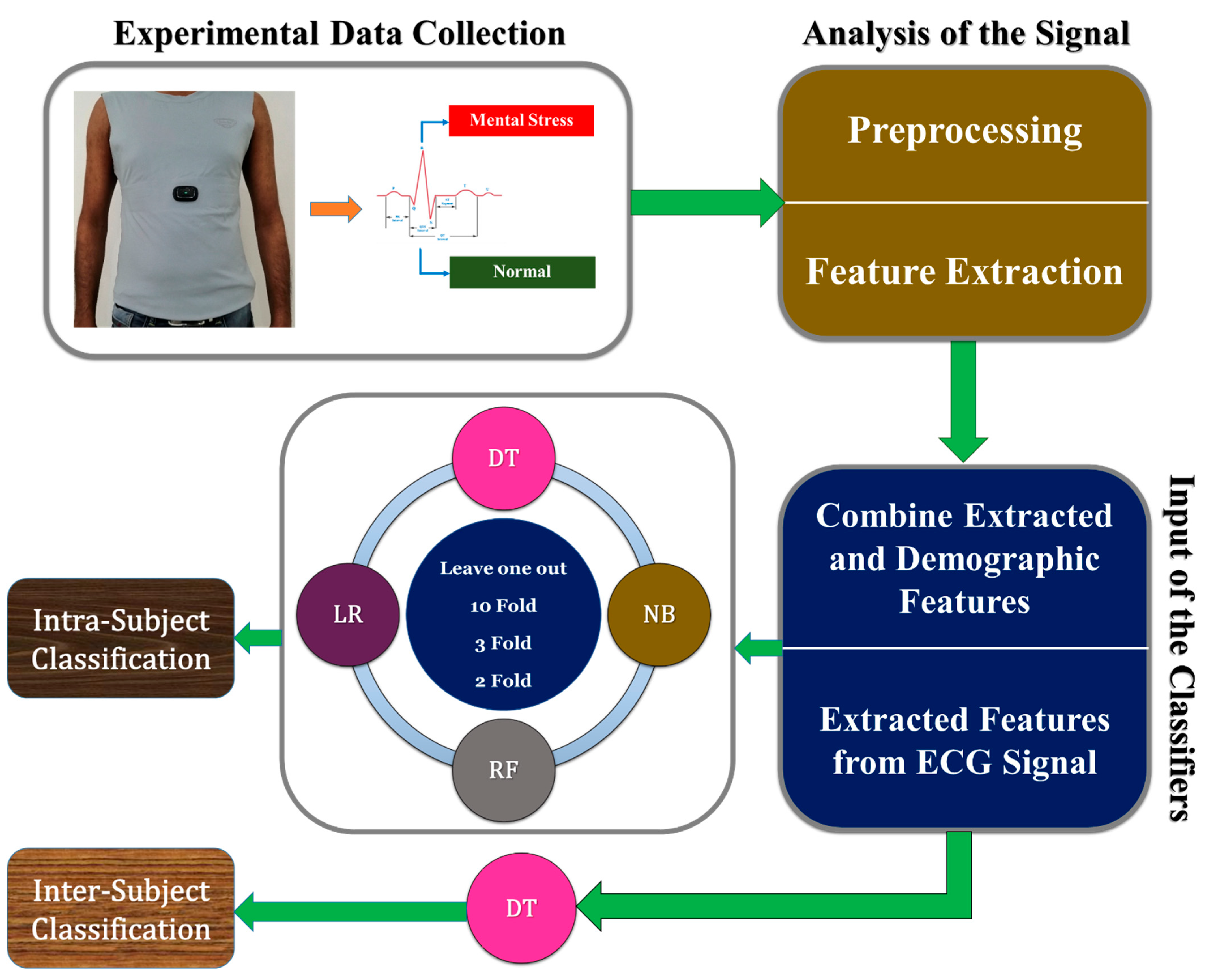 Biosensors 12 00427 g003