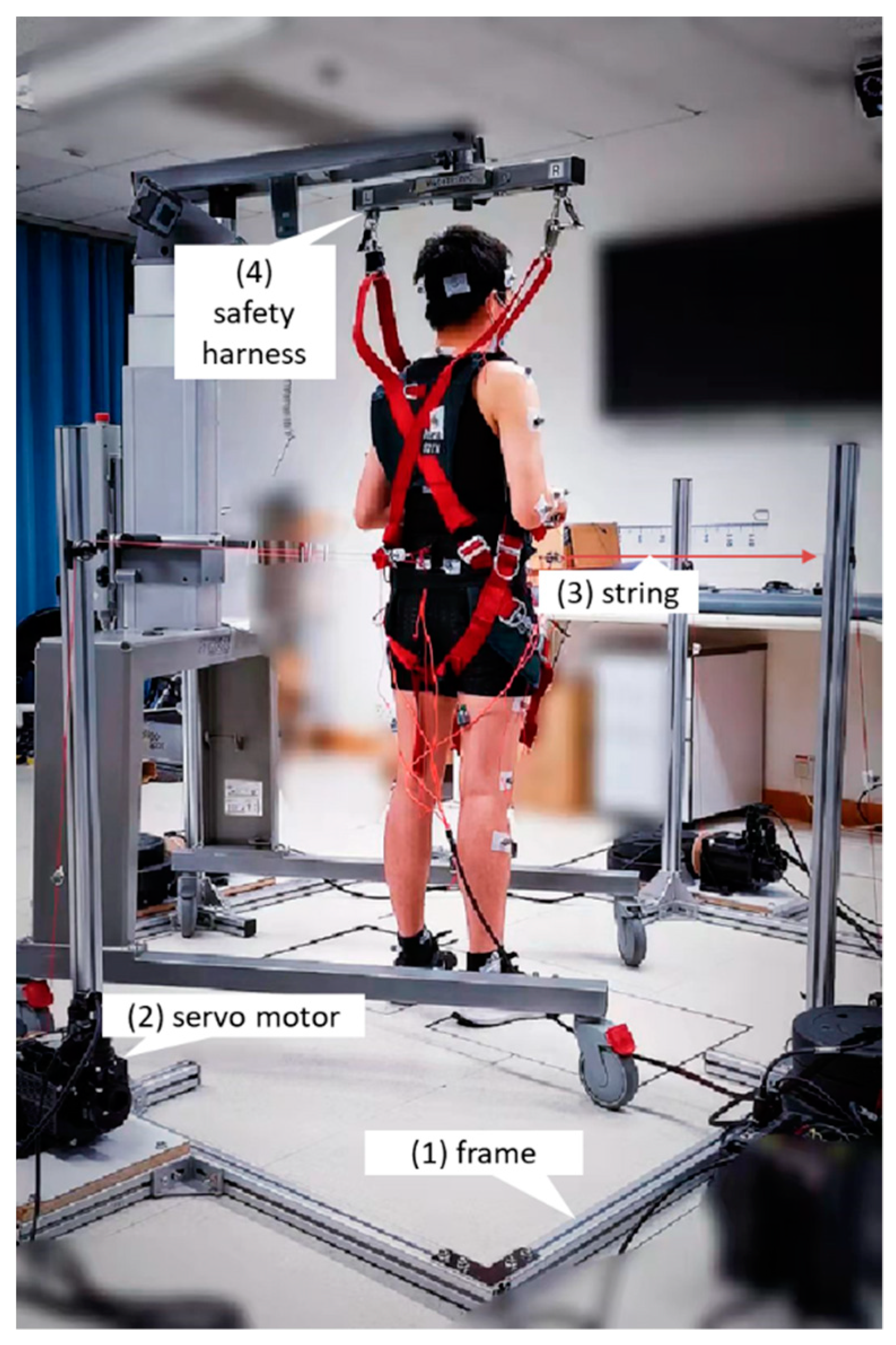 Biosensors 12 00430 g001