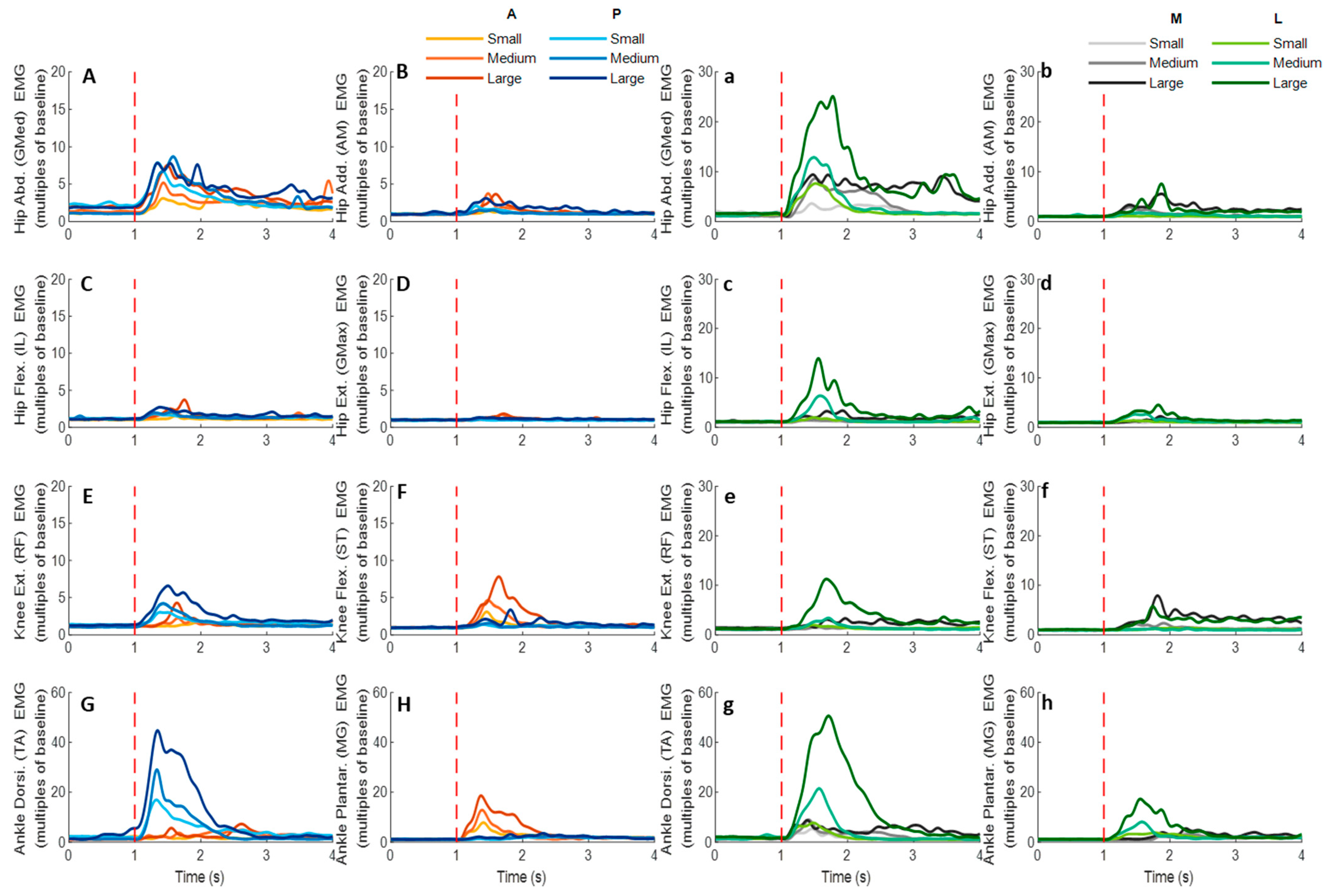 Biosensors 12 00430 g012
