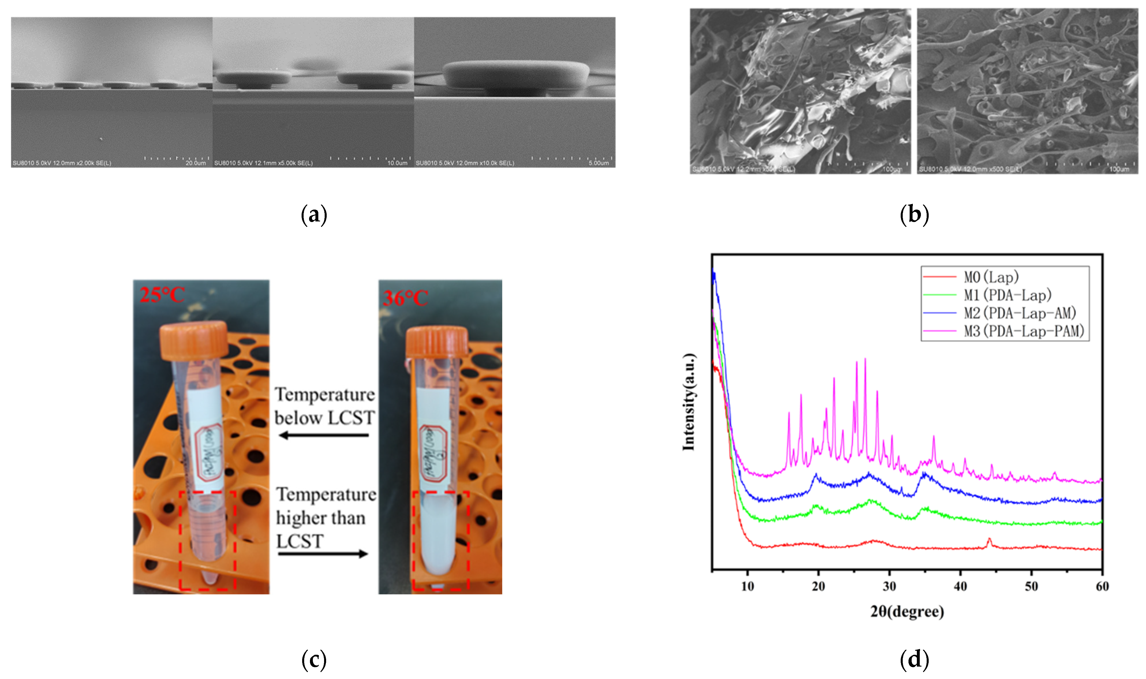 Biosensors 12 00431 g002