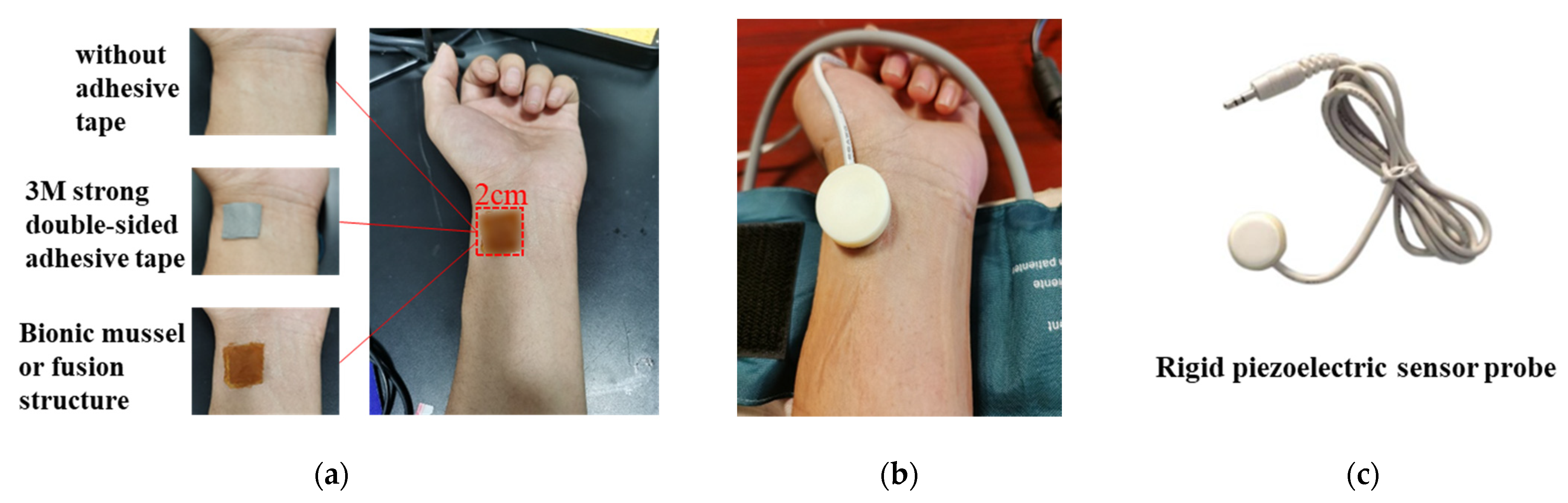 Biosensors 12 00431 g005
