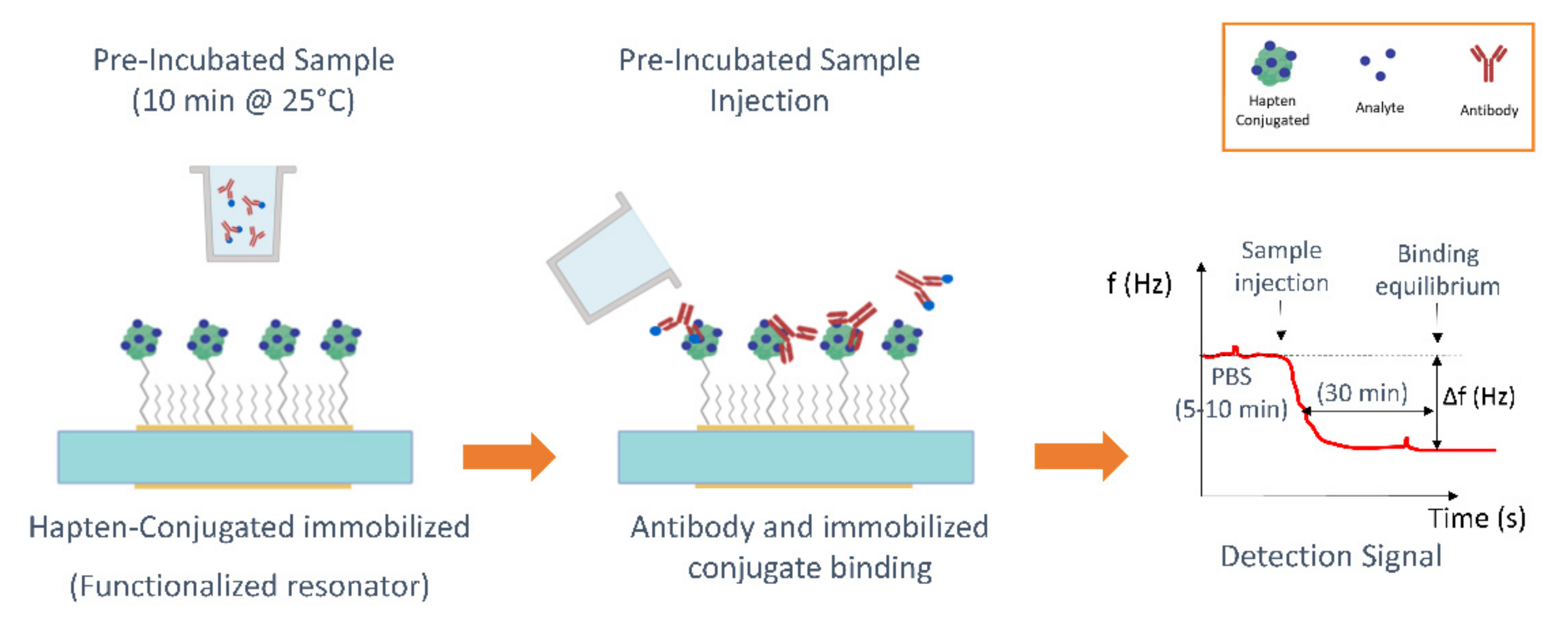 Biosensors 12 00433 g002