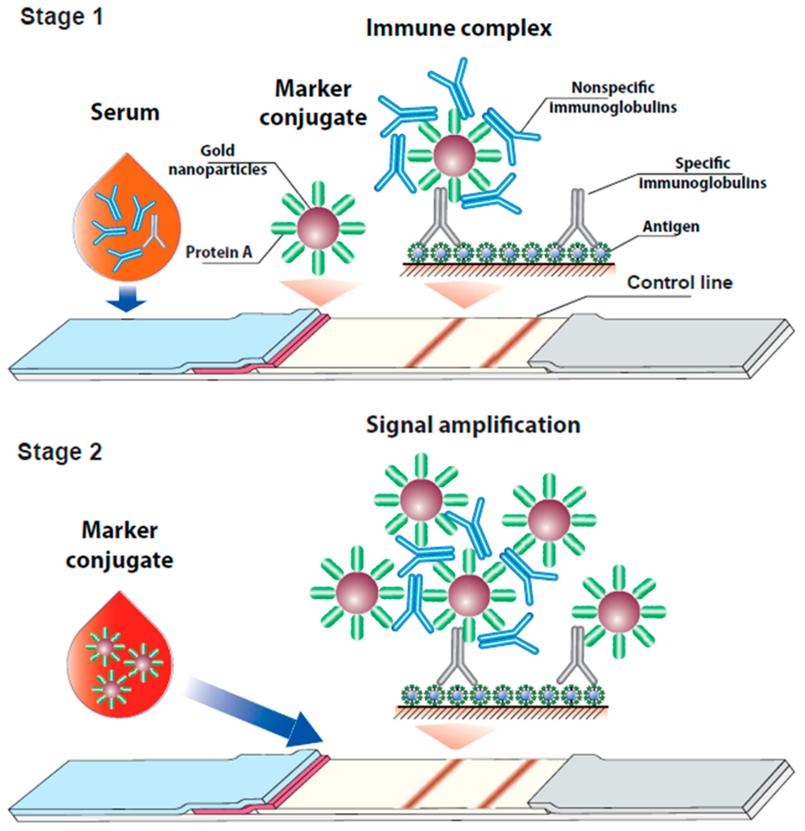 Biosensors 12 00434 g001