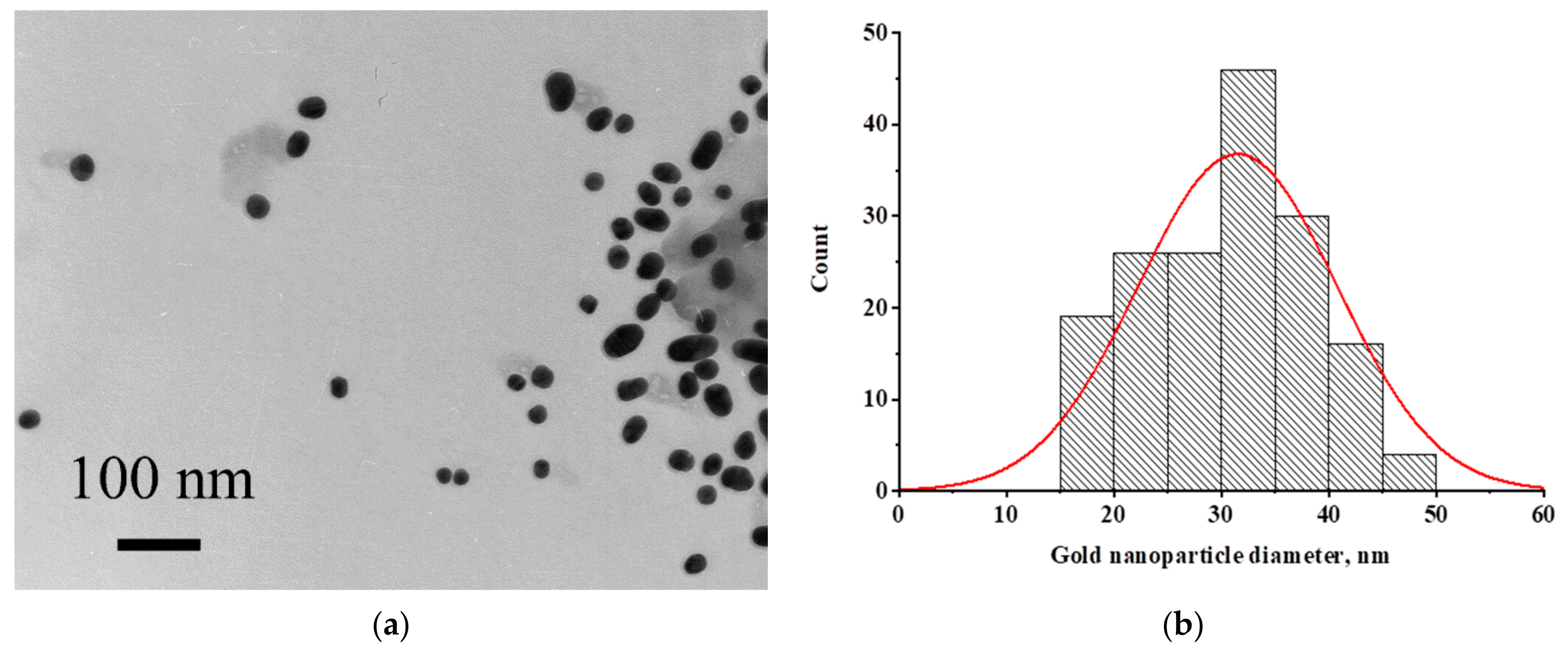 Biosensors 12 00434 g002