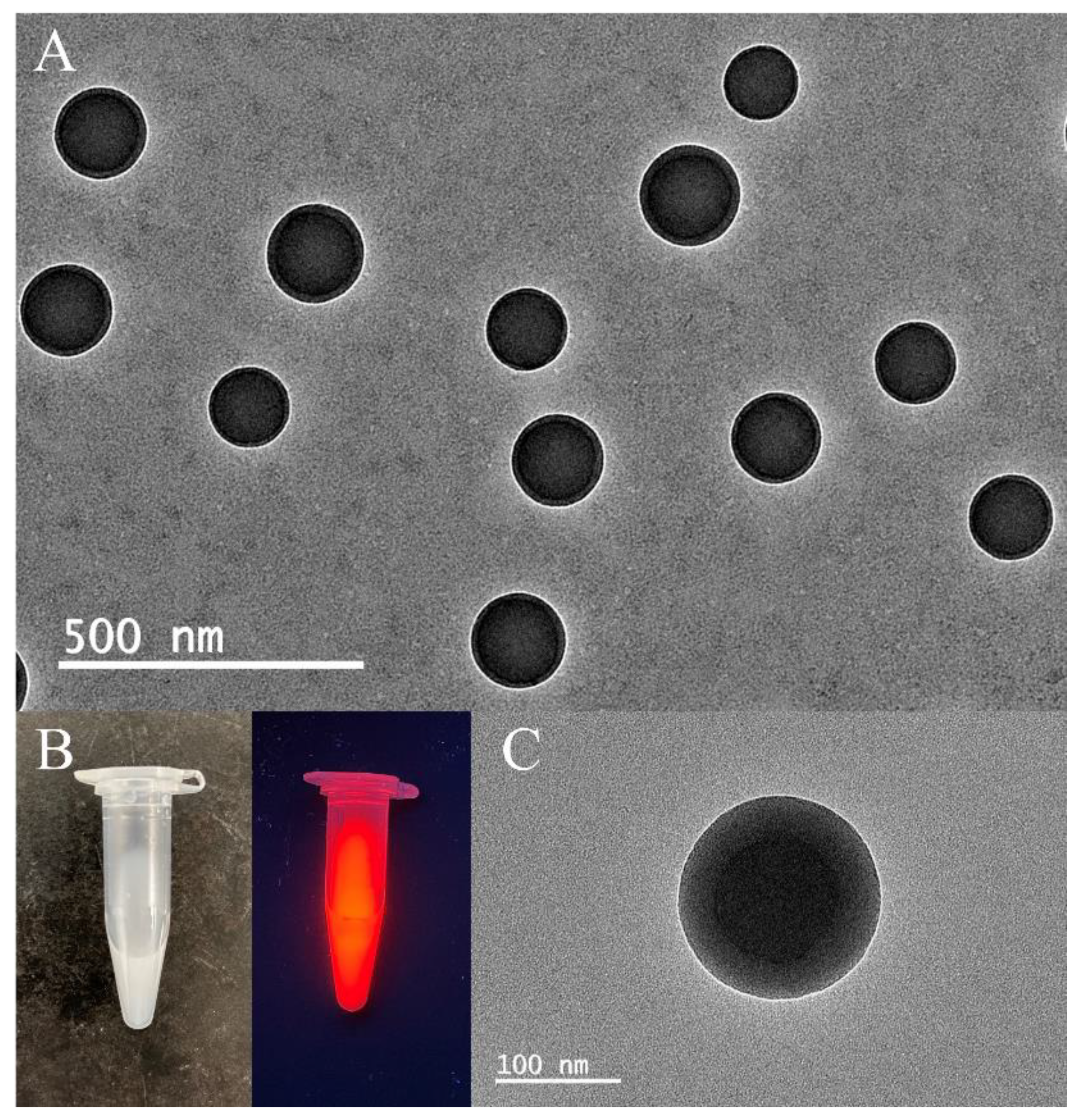 Biosensors 12 00437 g004