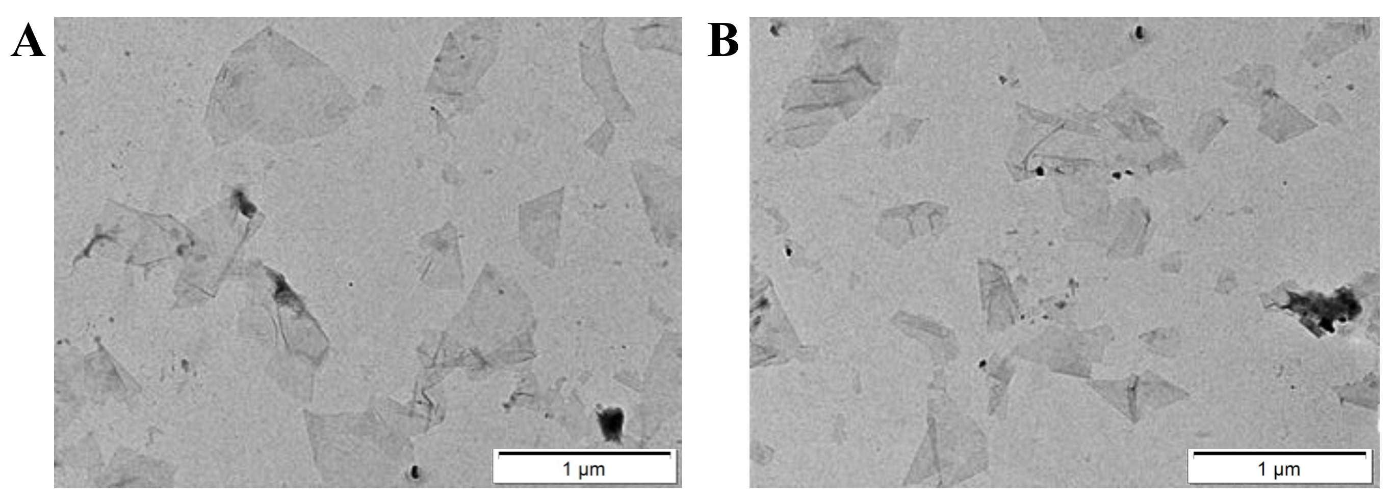 Biosensors 12 00444 g001