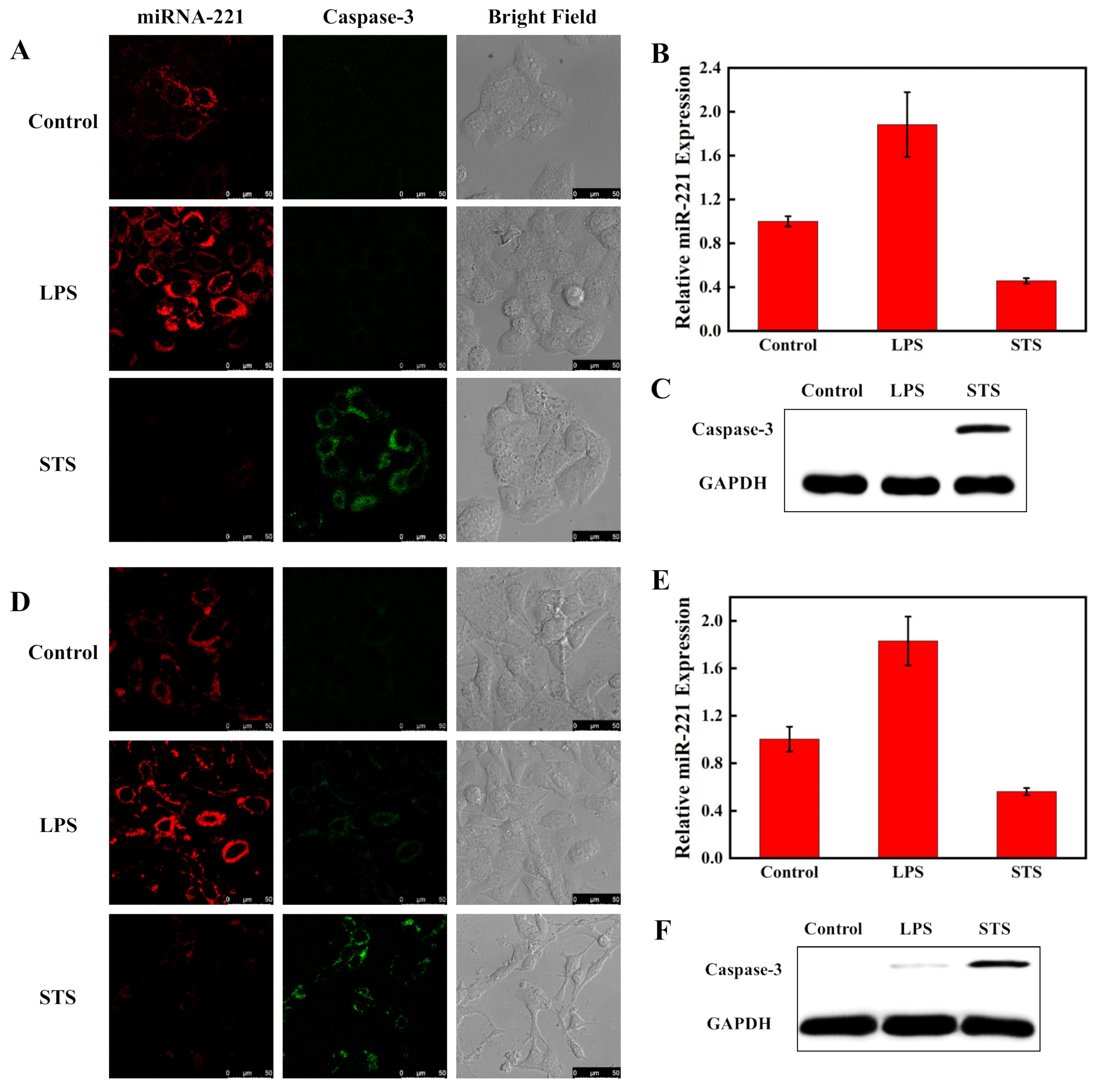 Biosensors 12 00444 g007