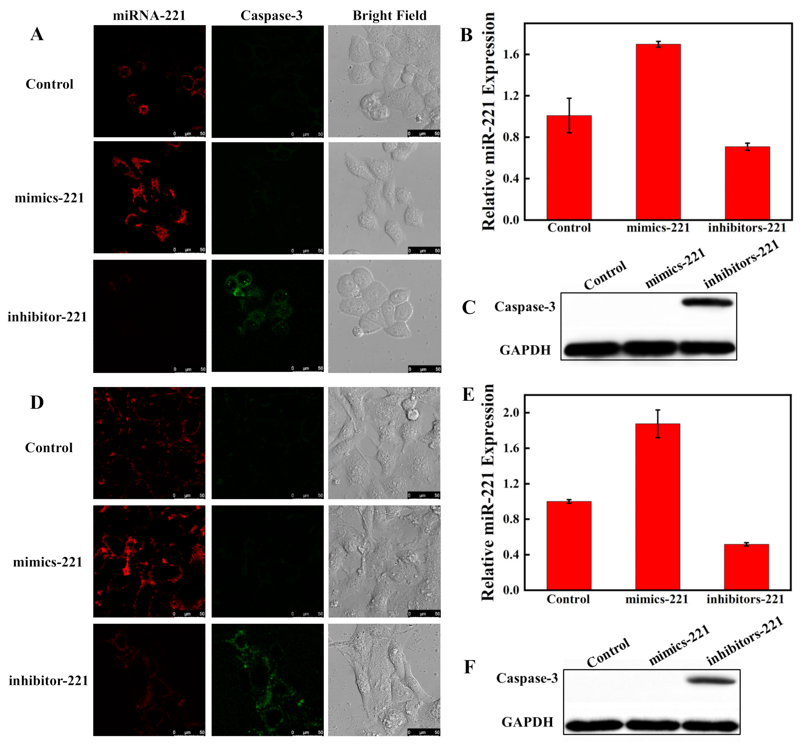 Biosensors 12 00444 g008