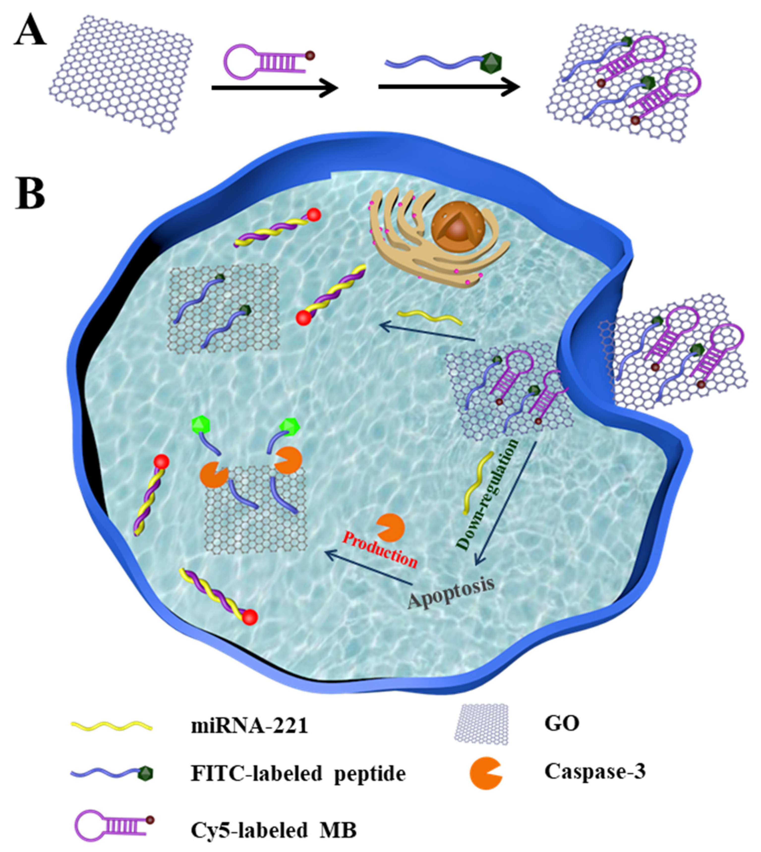 Biosensors 12 00444 sch001