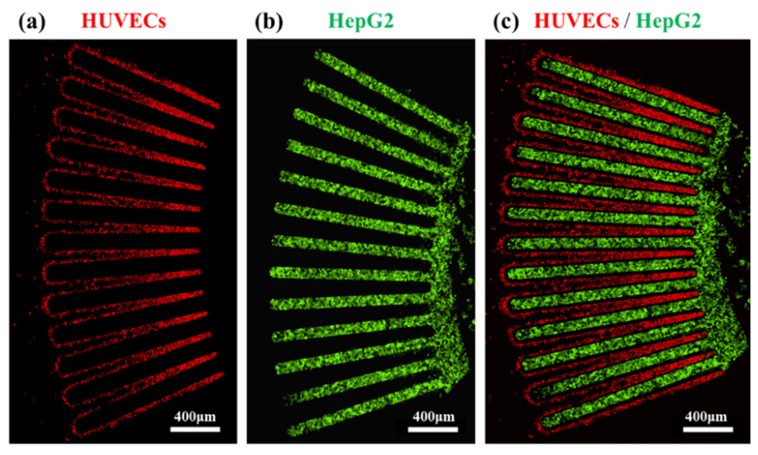 Biosensors 12 00445 g003