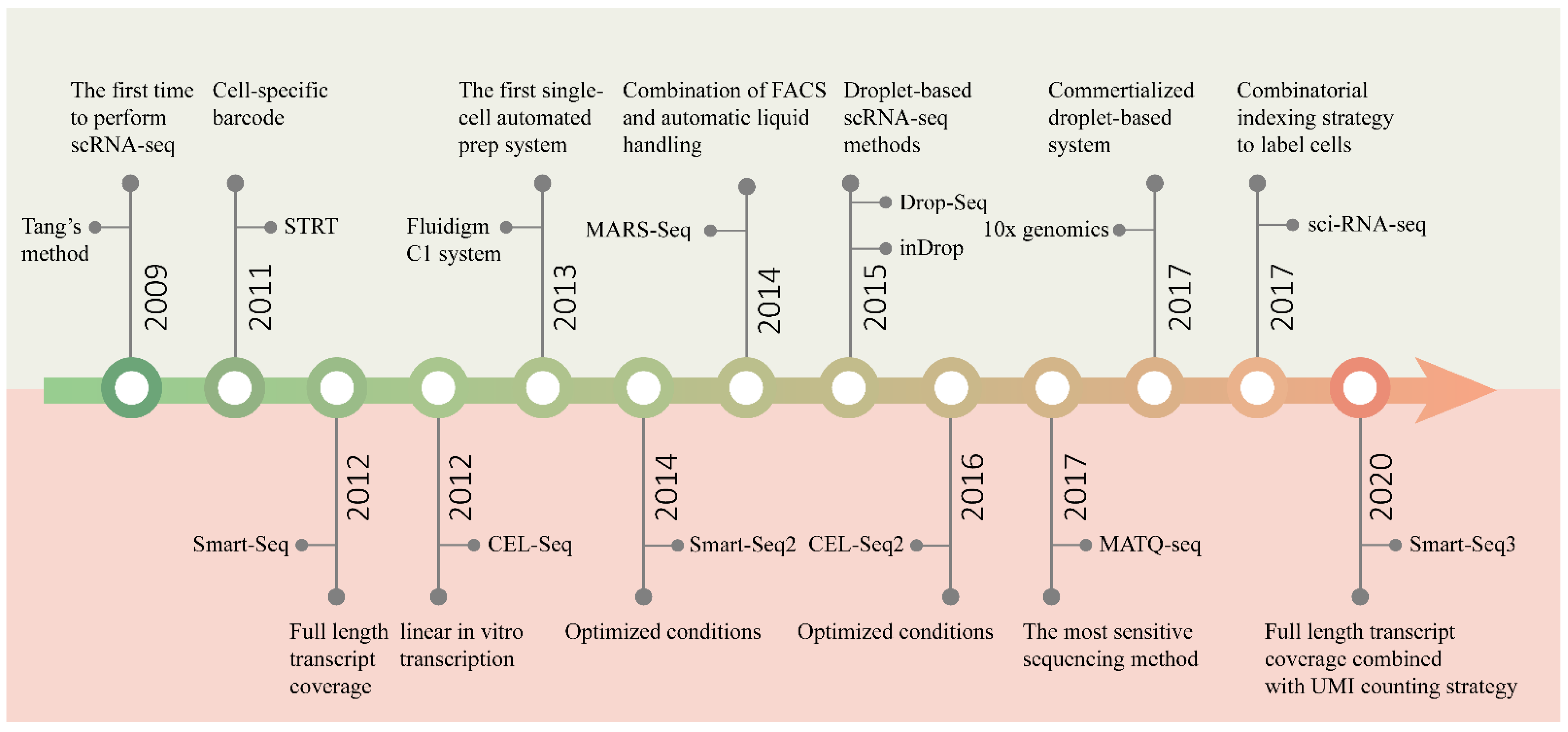 Biosensors 12 00450 g002