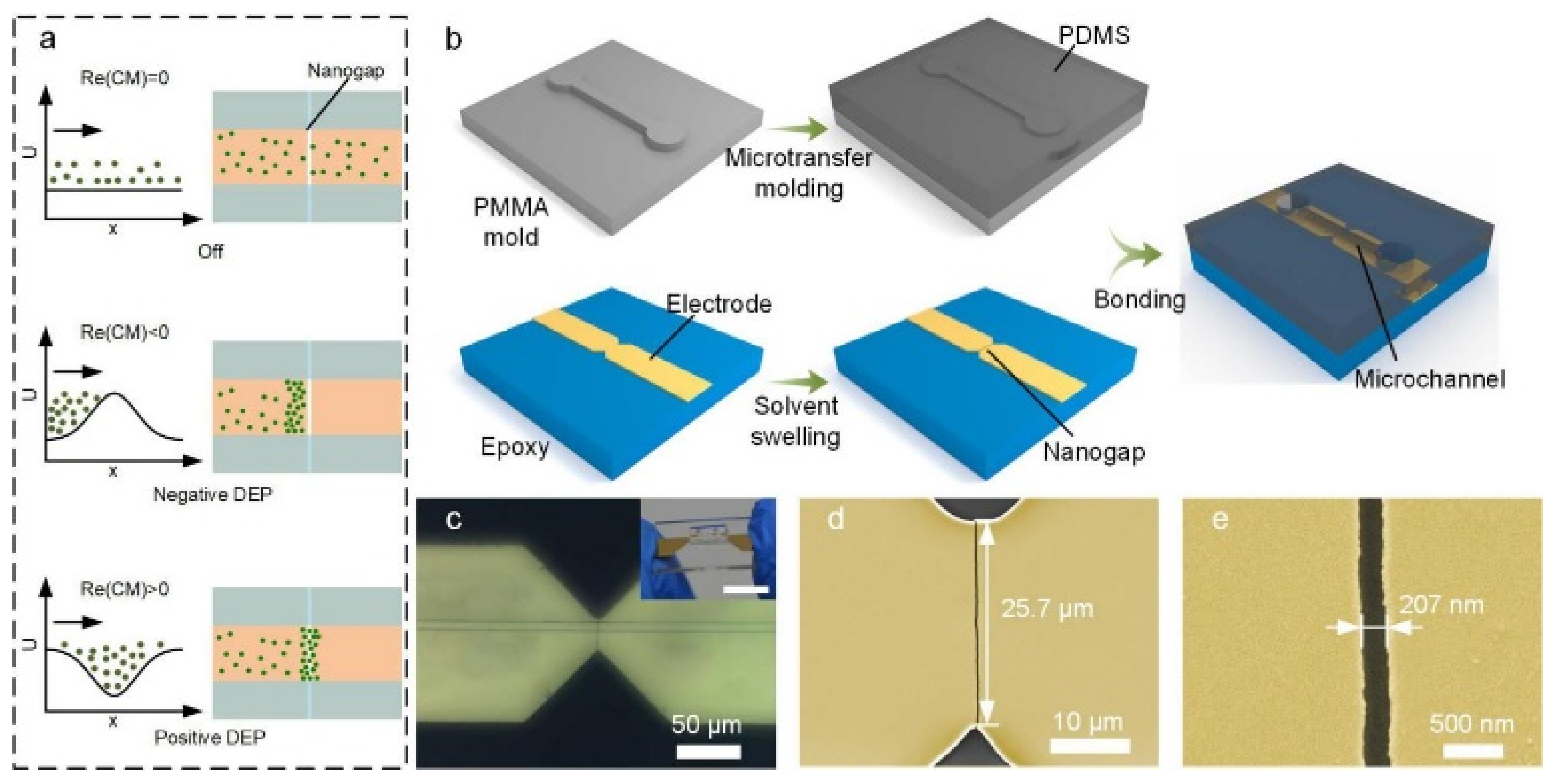 Biosensors 12 00451 g001