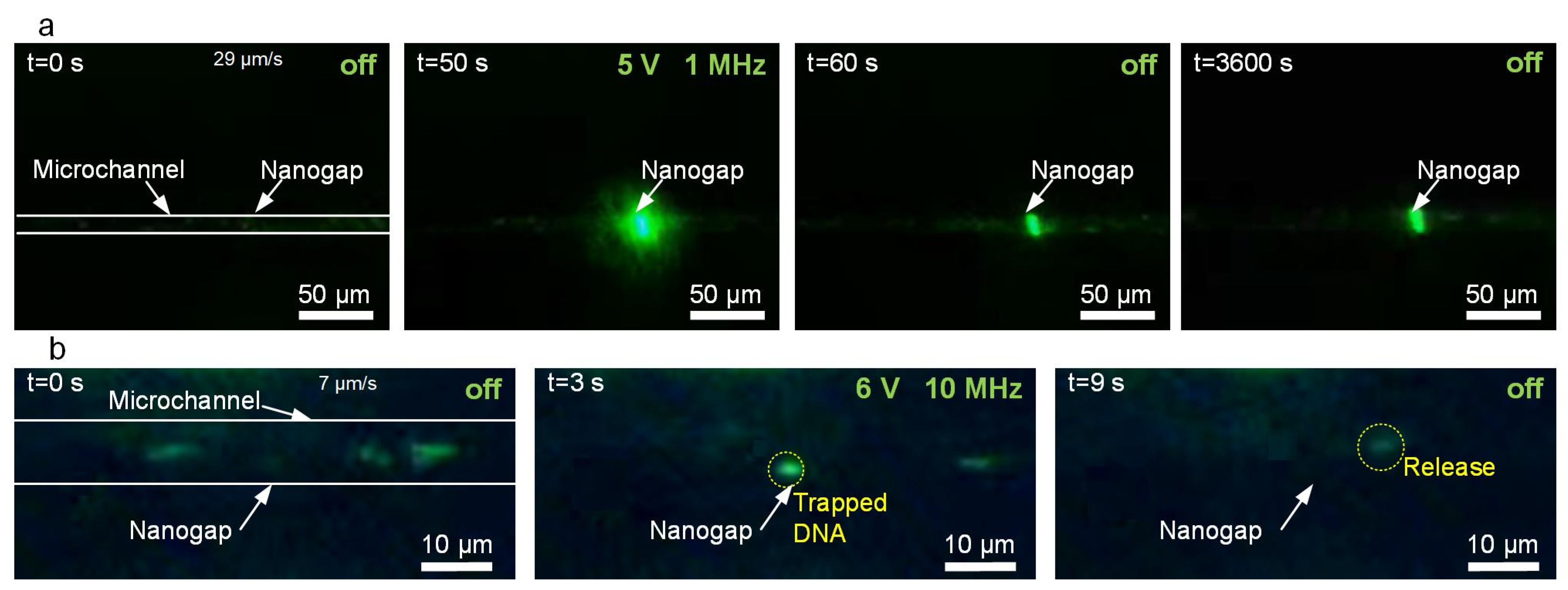 Biosensors 12 00451 g002