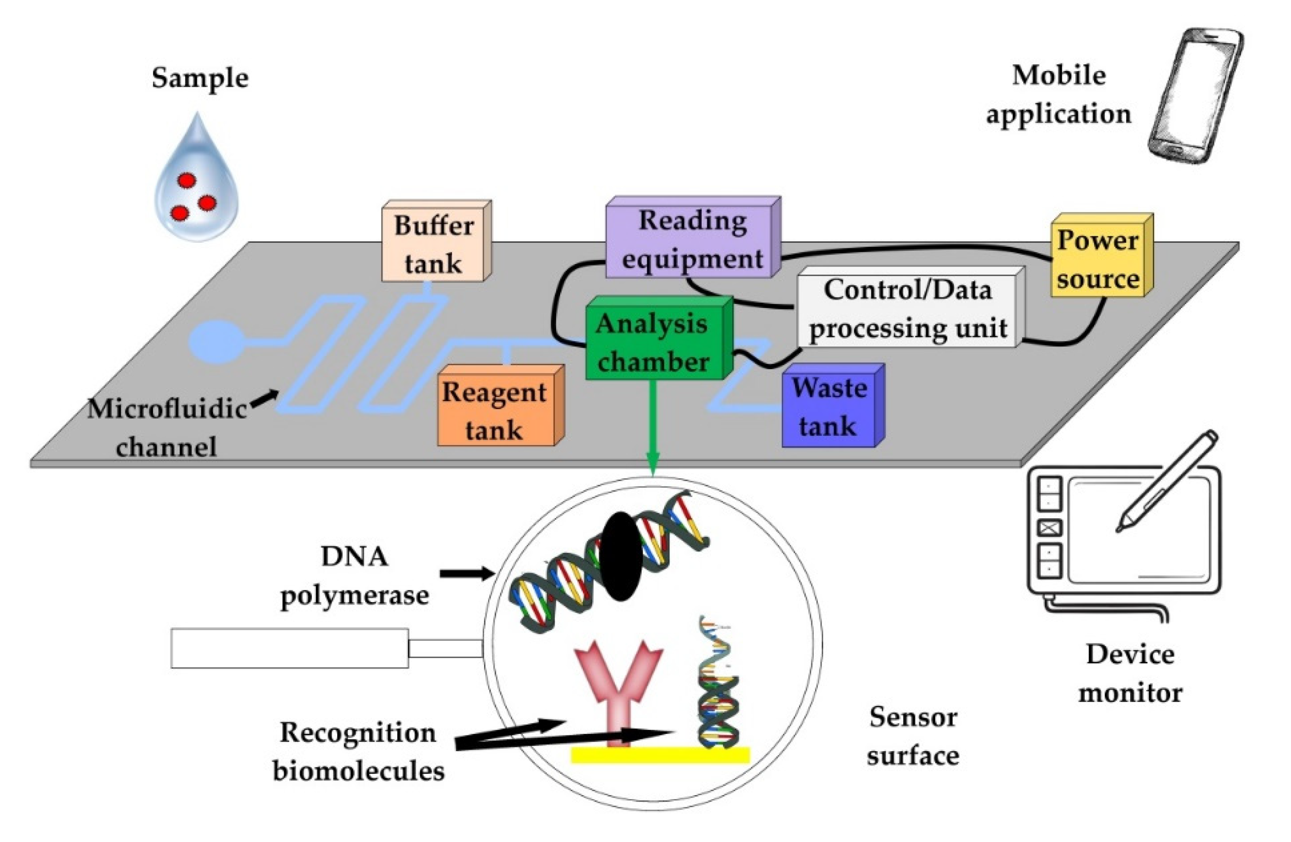 Biosensors 12 00455 g002