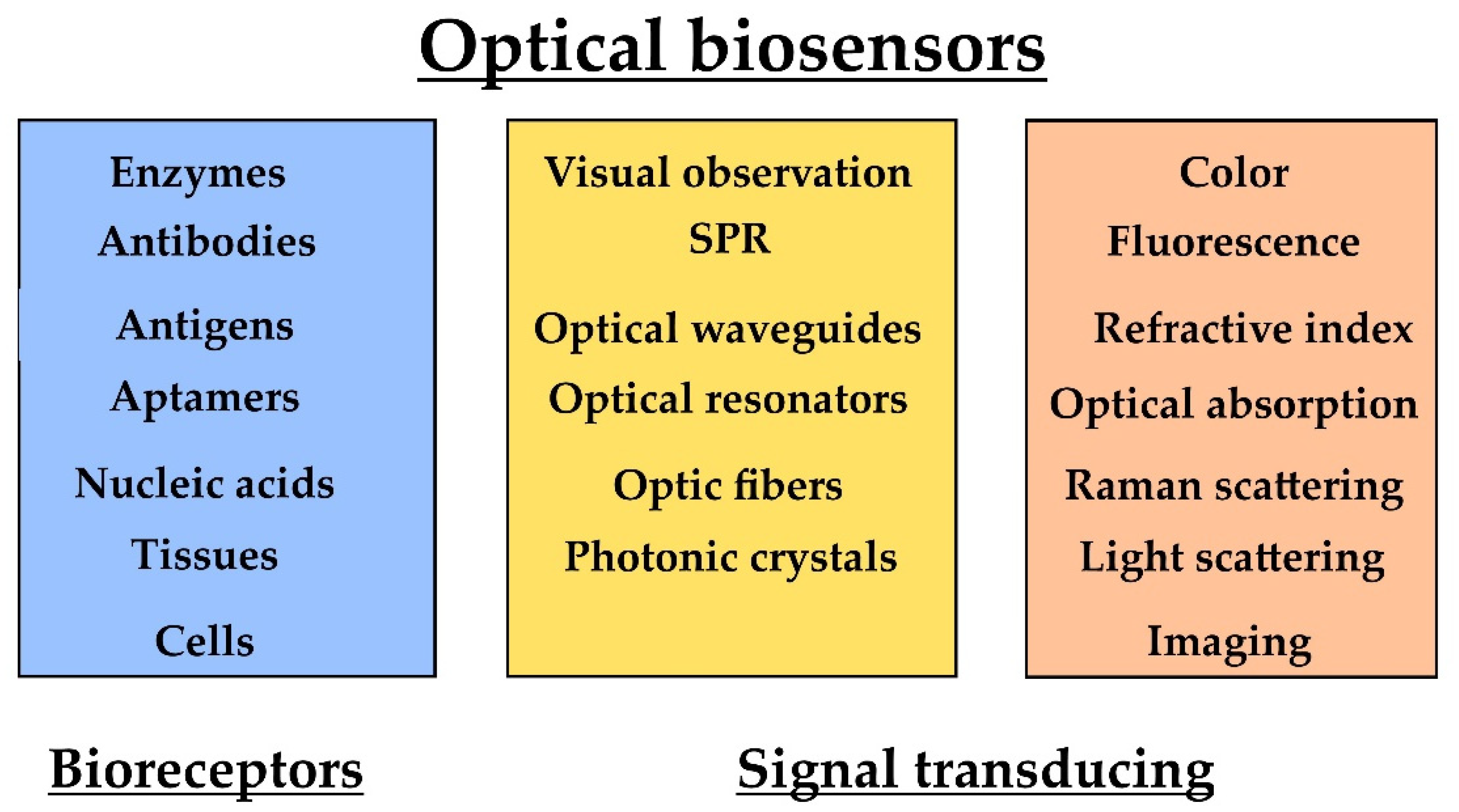 Biosensors 12 00455 g005