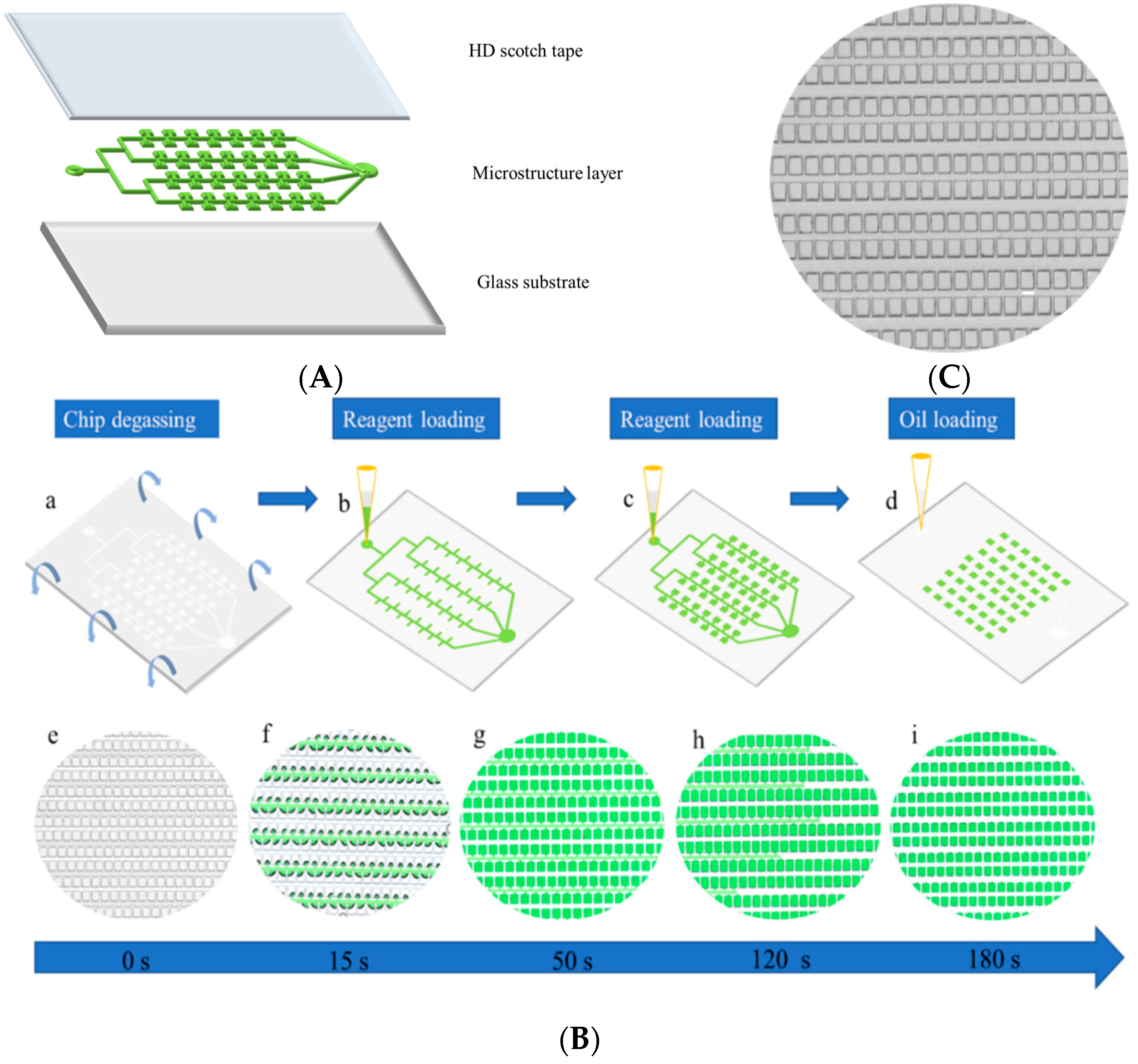 Biosensors 12 00458 g003