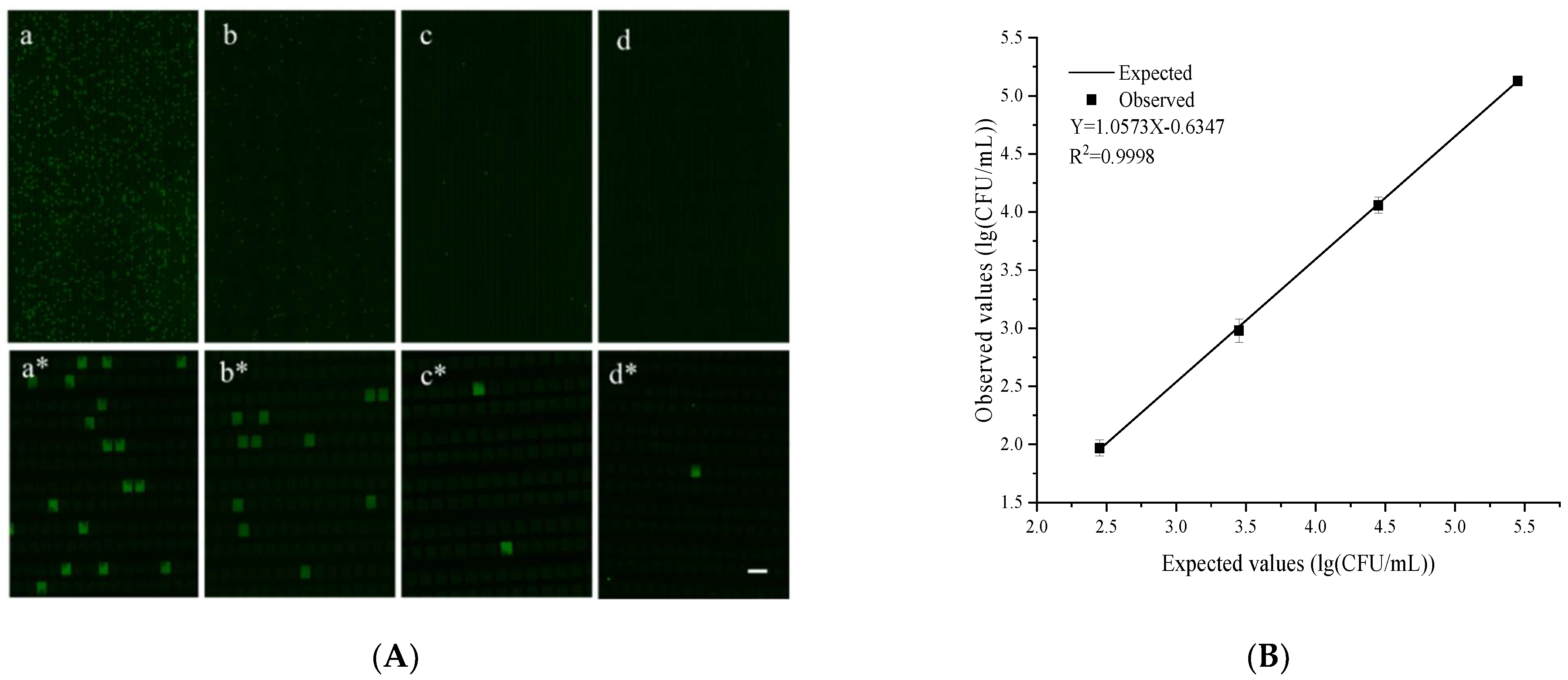 Biosensors 12 00458 g005