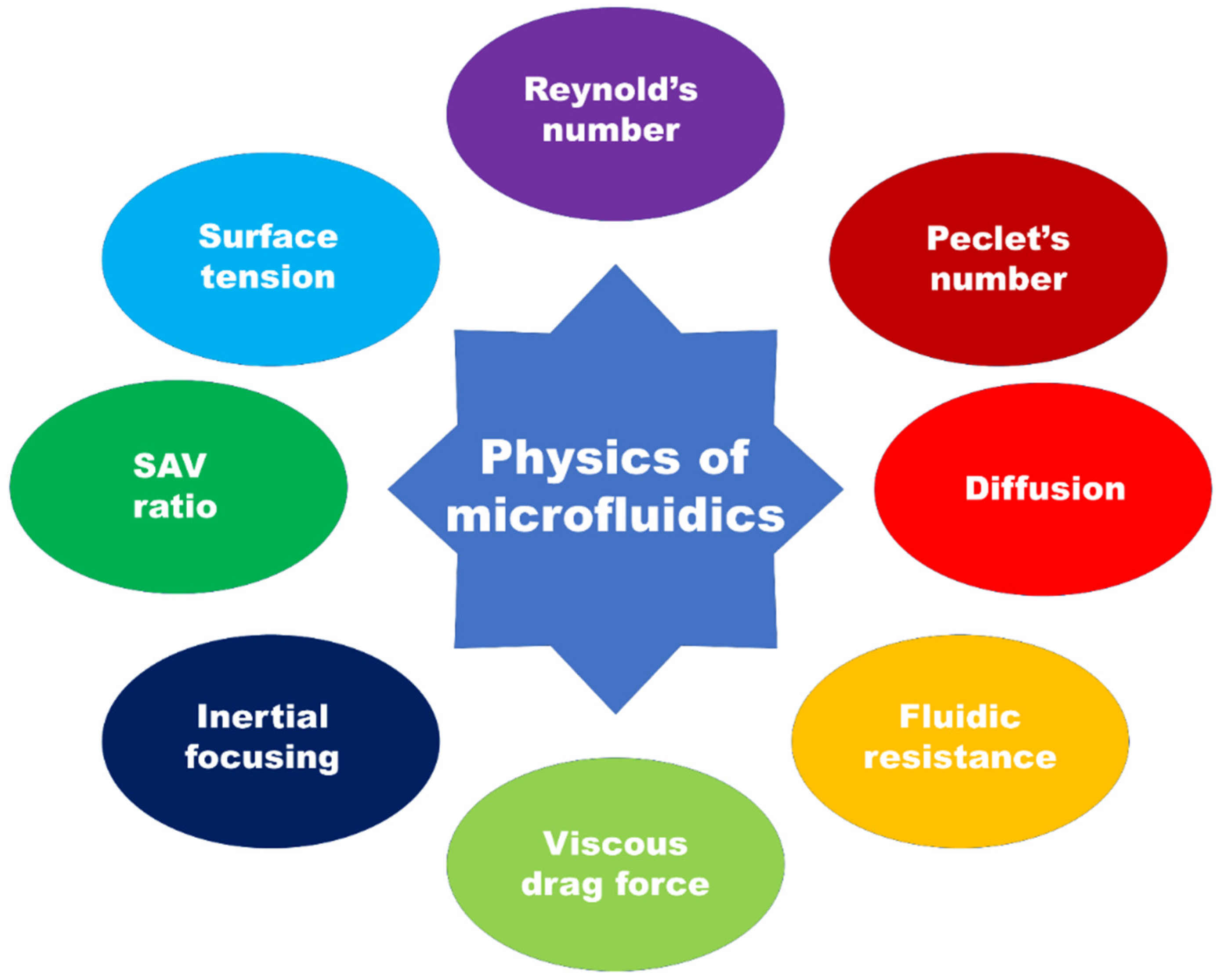 Biosensors 12 00459 g004