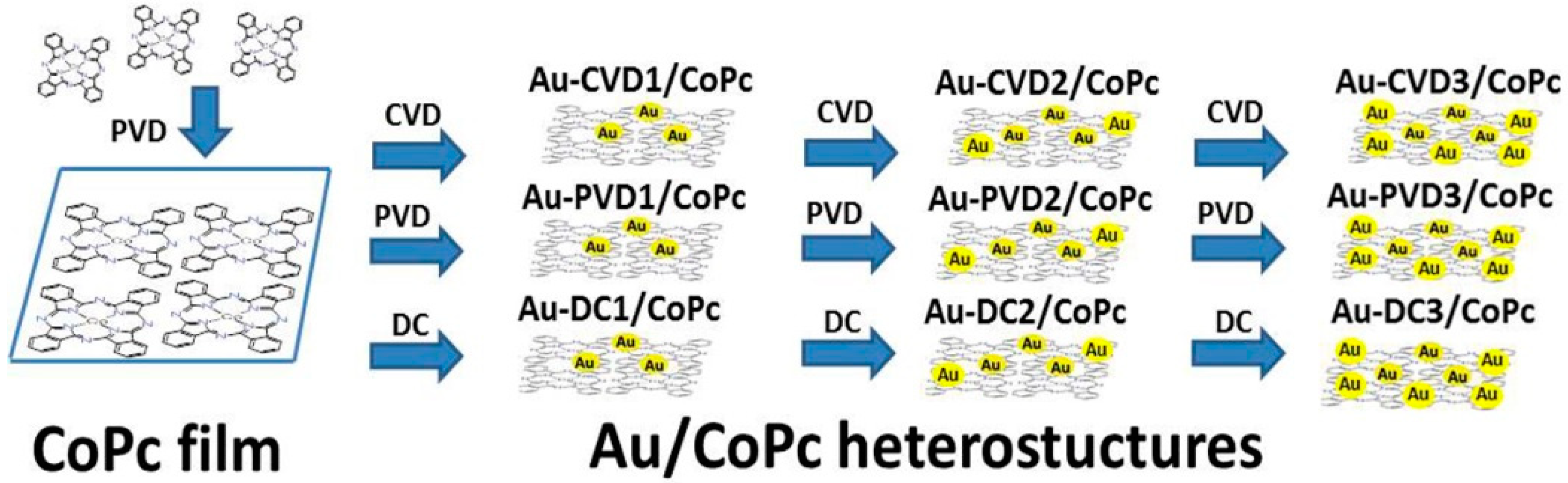 Biosensors 12 00476 g001