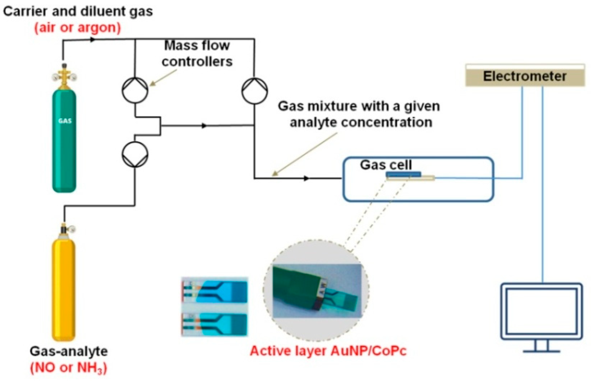 Biosensors 12 00476 g002