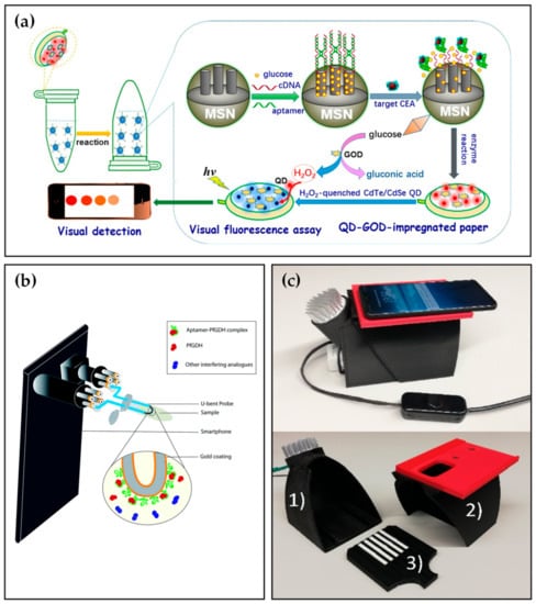 Biosensors 12 00477 g004 550
