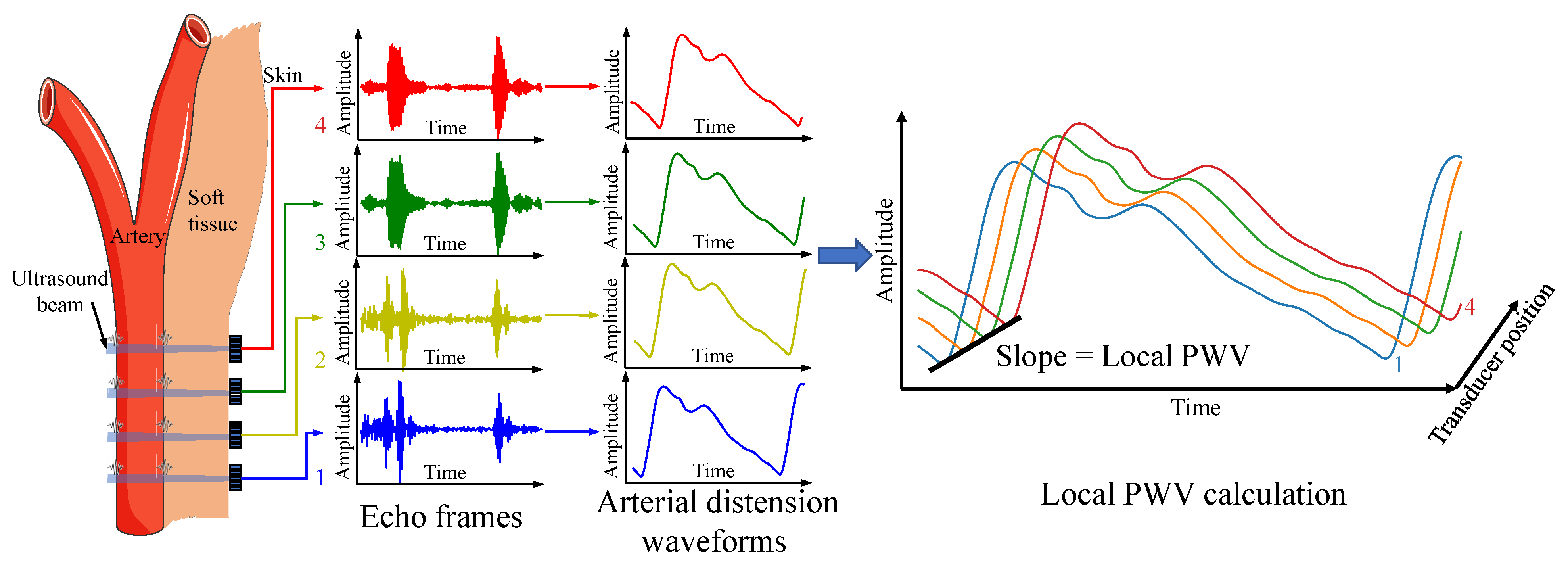 Biosensors 12 00479 g001