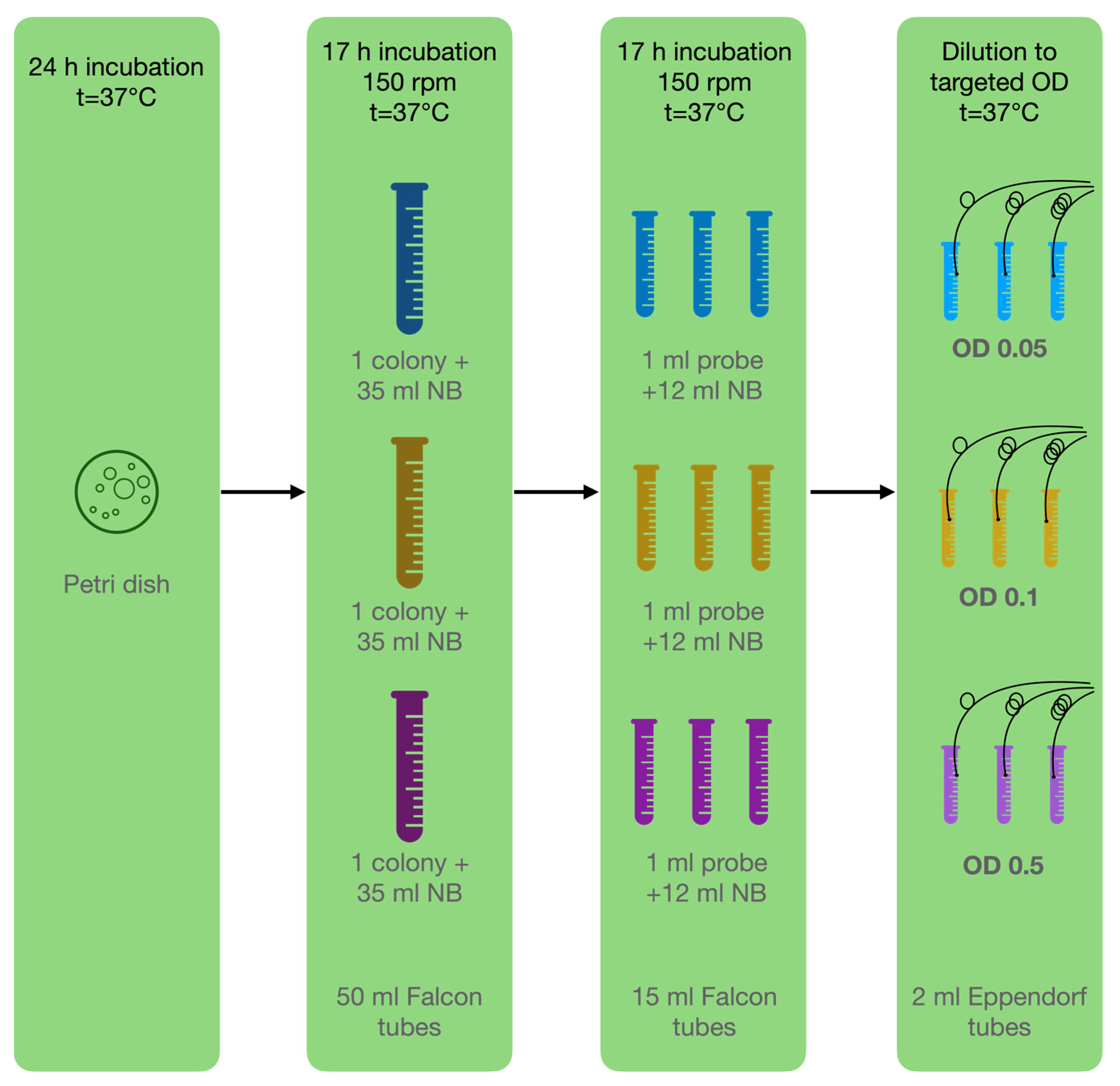 Biosensors 12 00481 g004