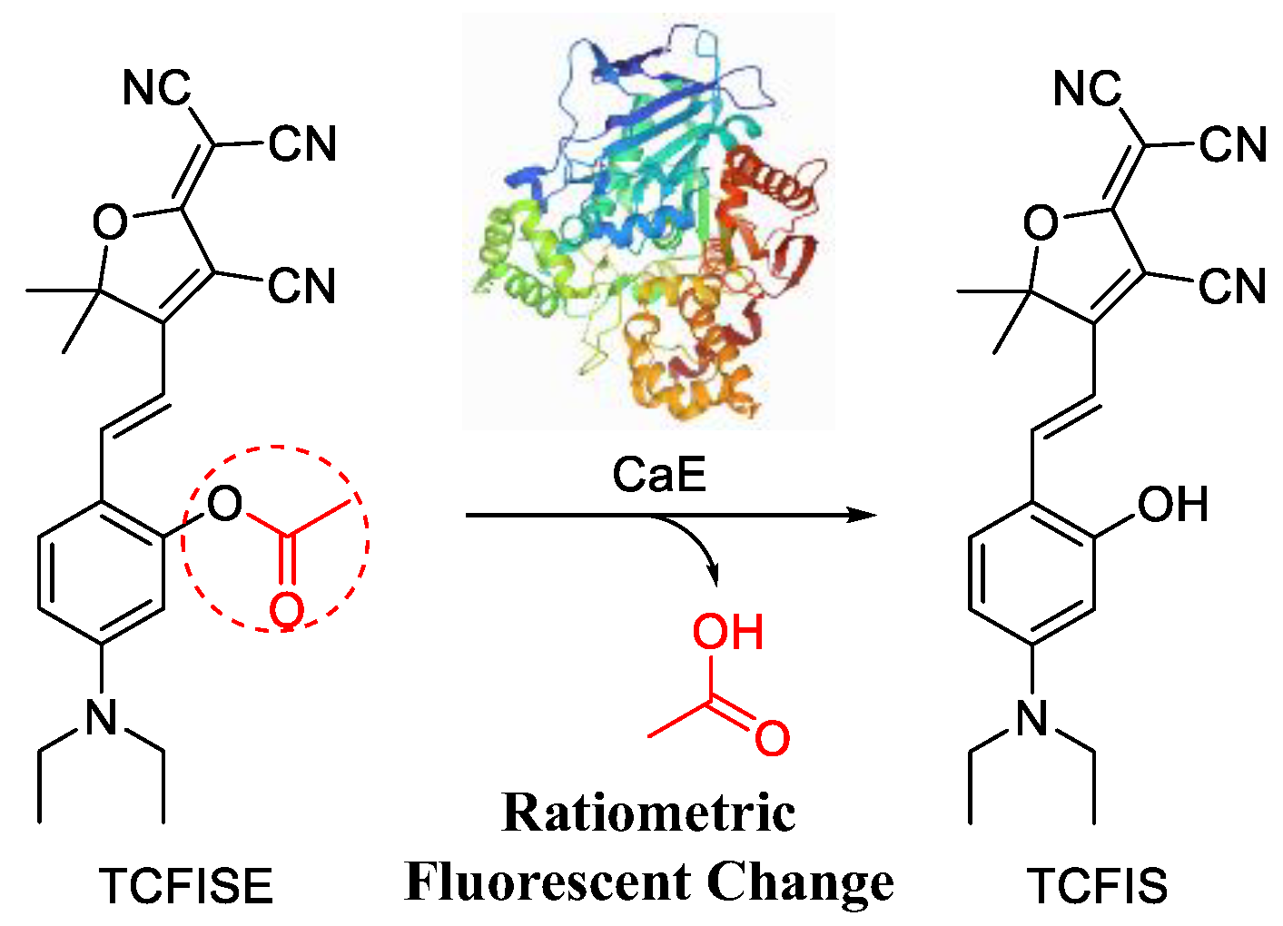 Biosensors 12 00484 sch001
