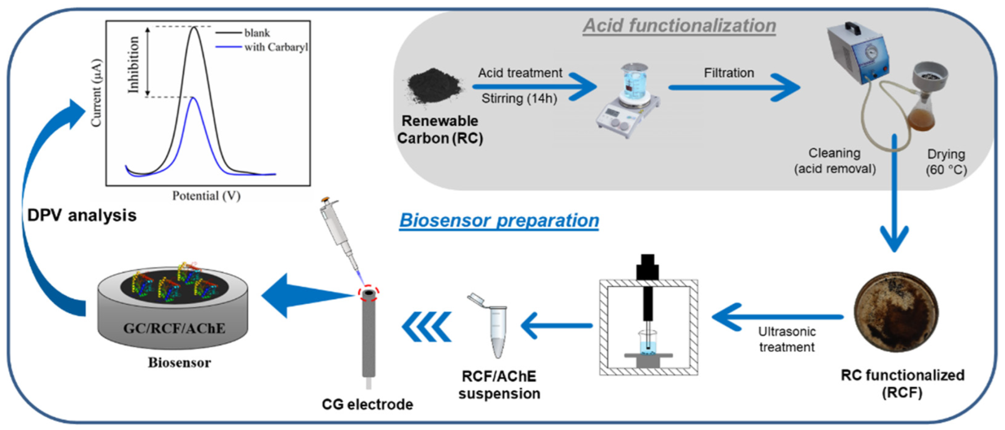 Biosensors 12 00486 g001