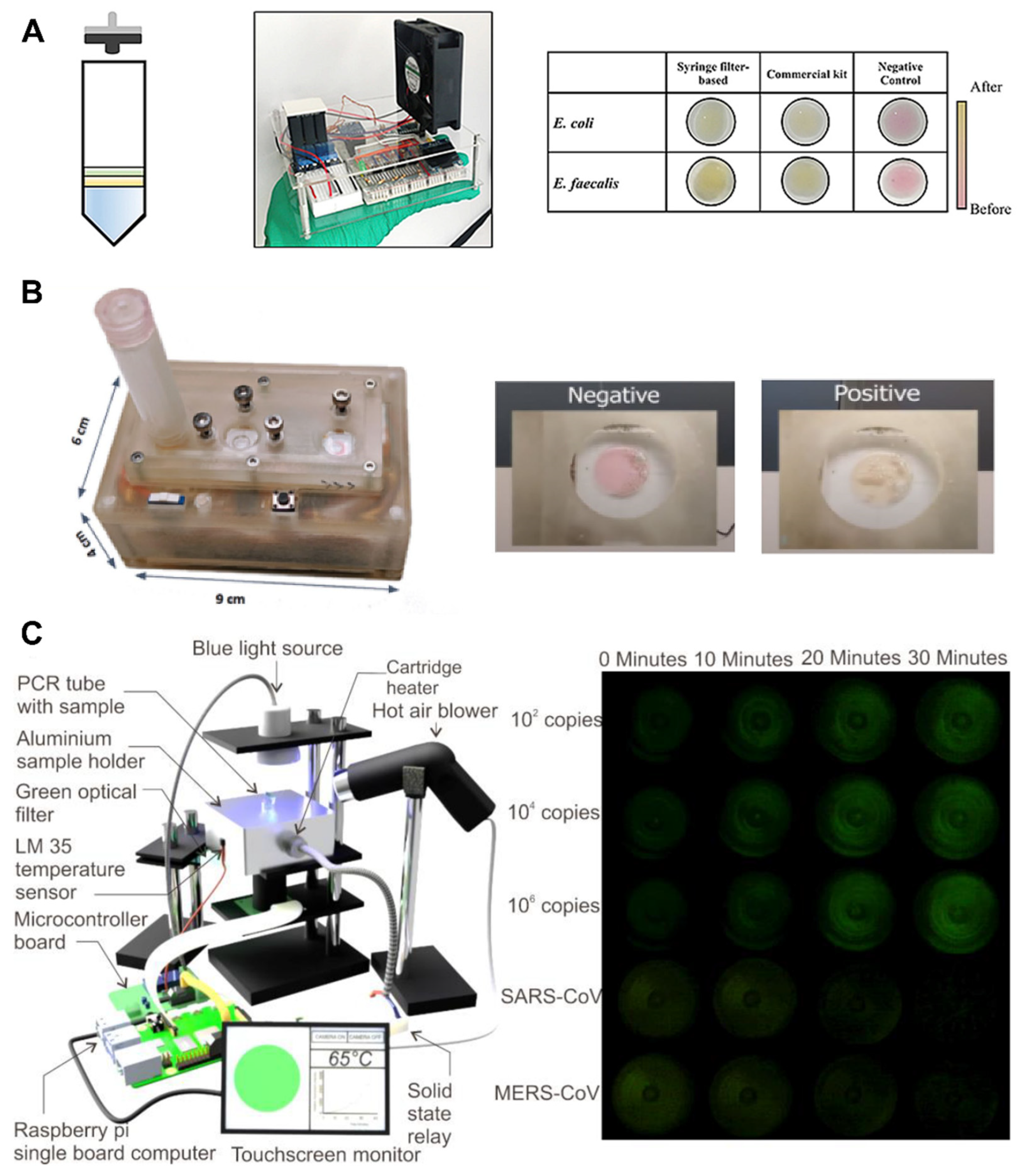 Biosensors 12 00492 g006