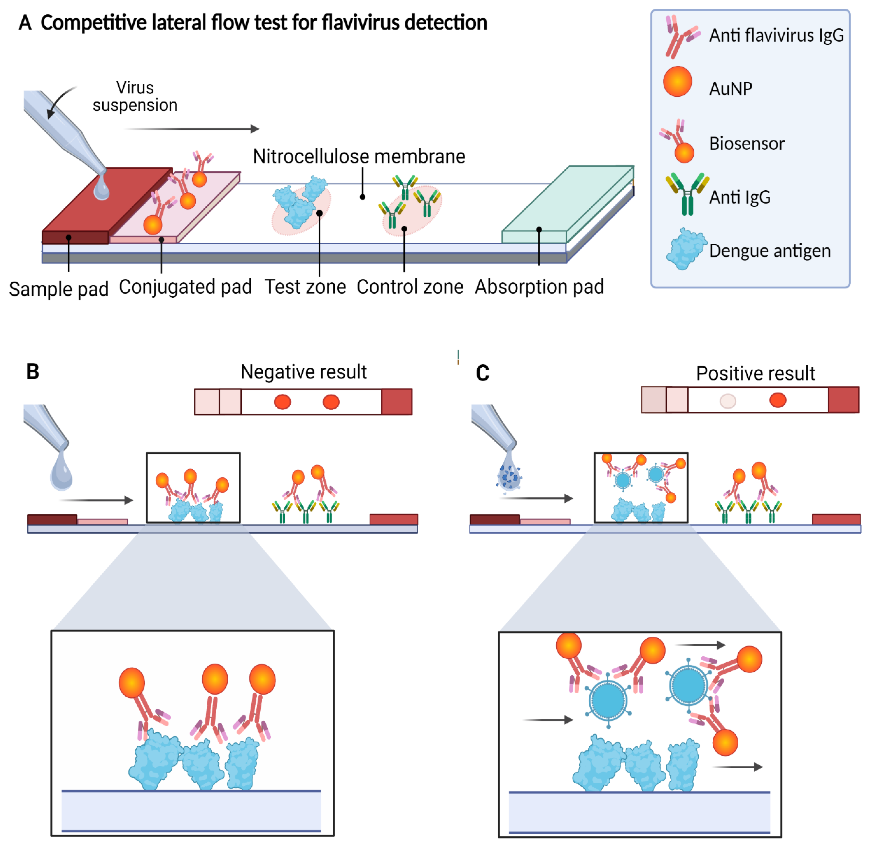 Biosensors 12 00495 g001
