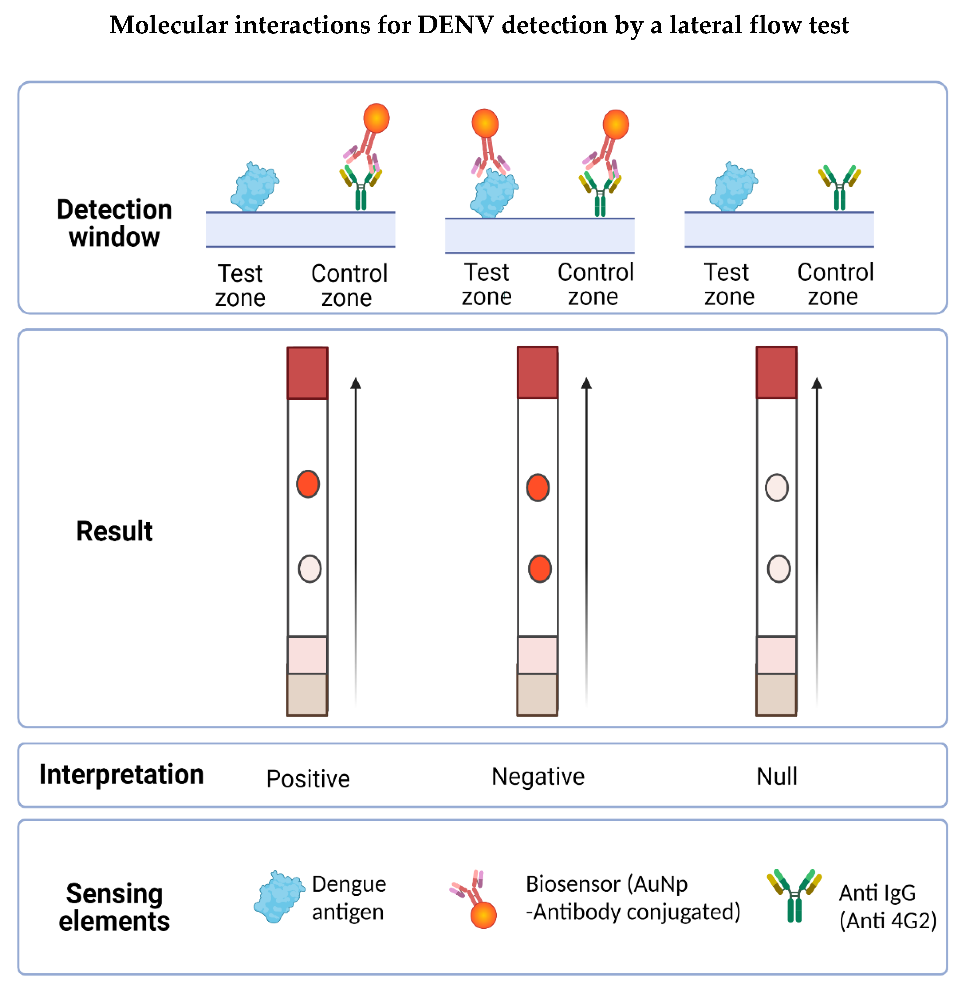 Biosensors 12 00495 g007
