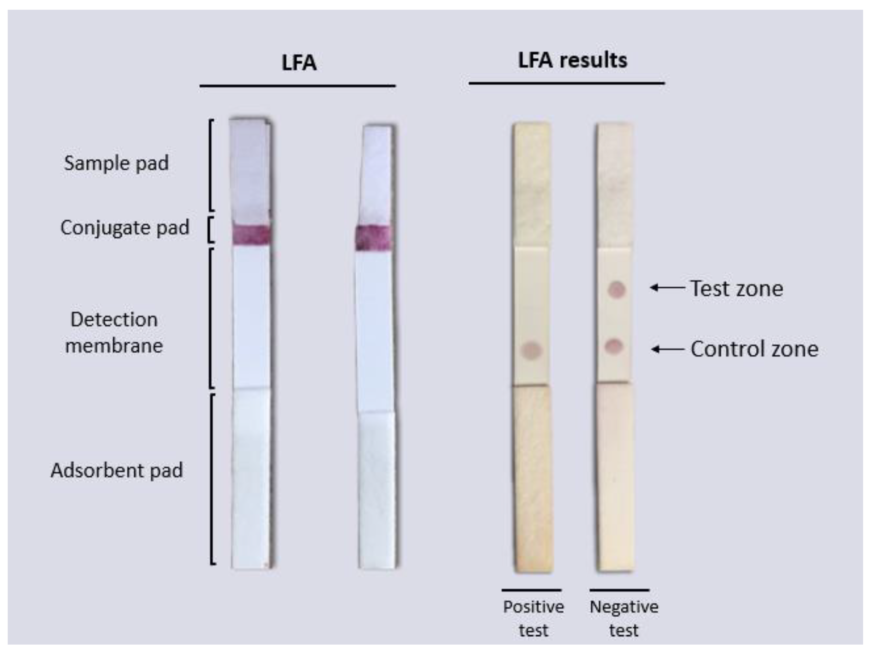Biosensors 12 00495 g009