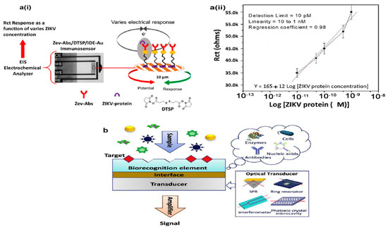 Biosensors 12 00499 g002
