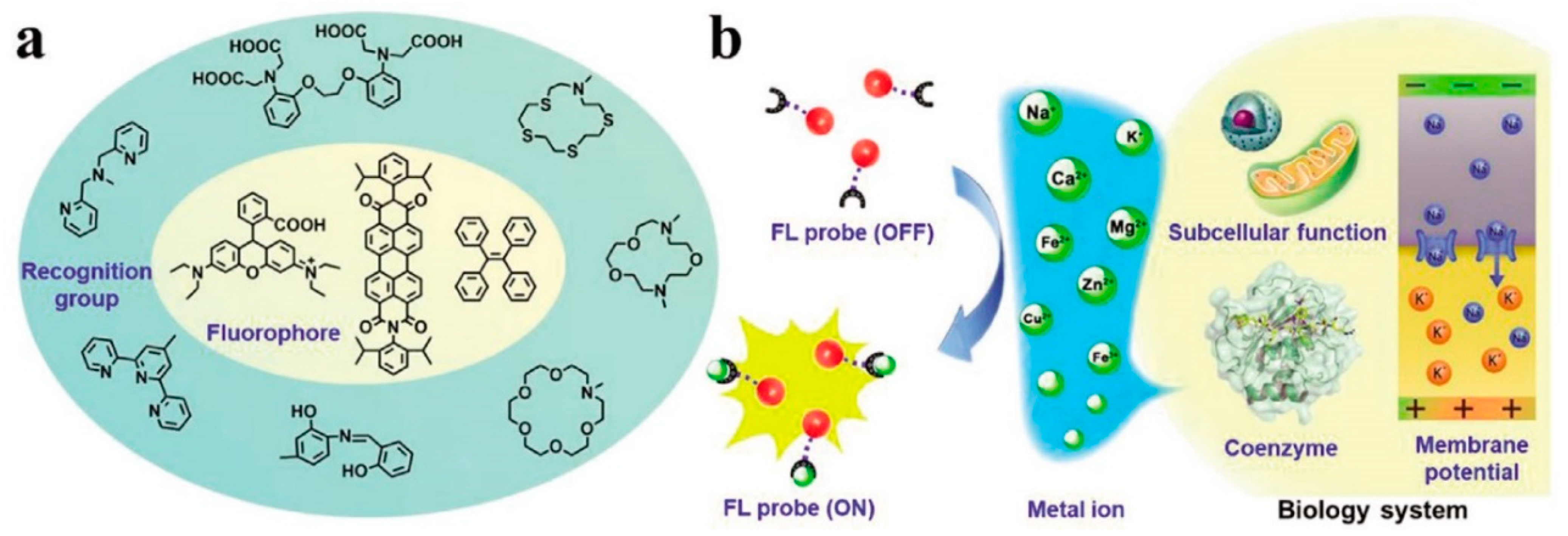 Biosensors 12 00500 g002