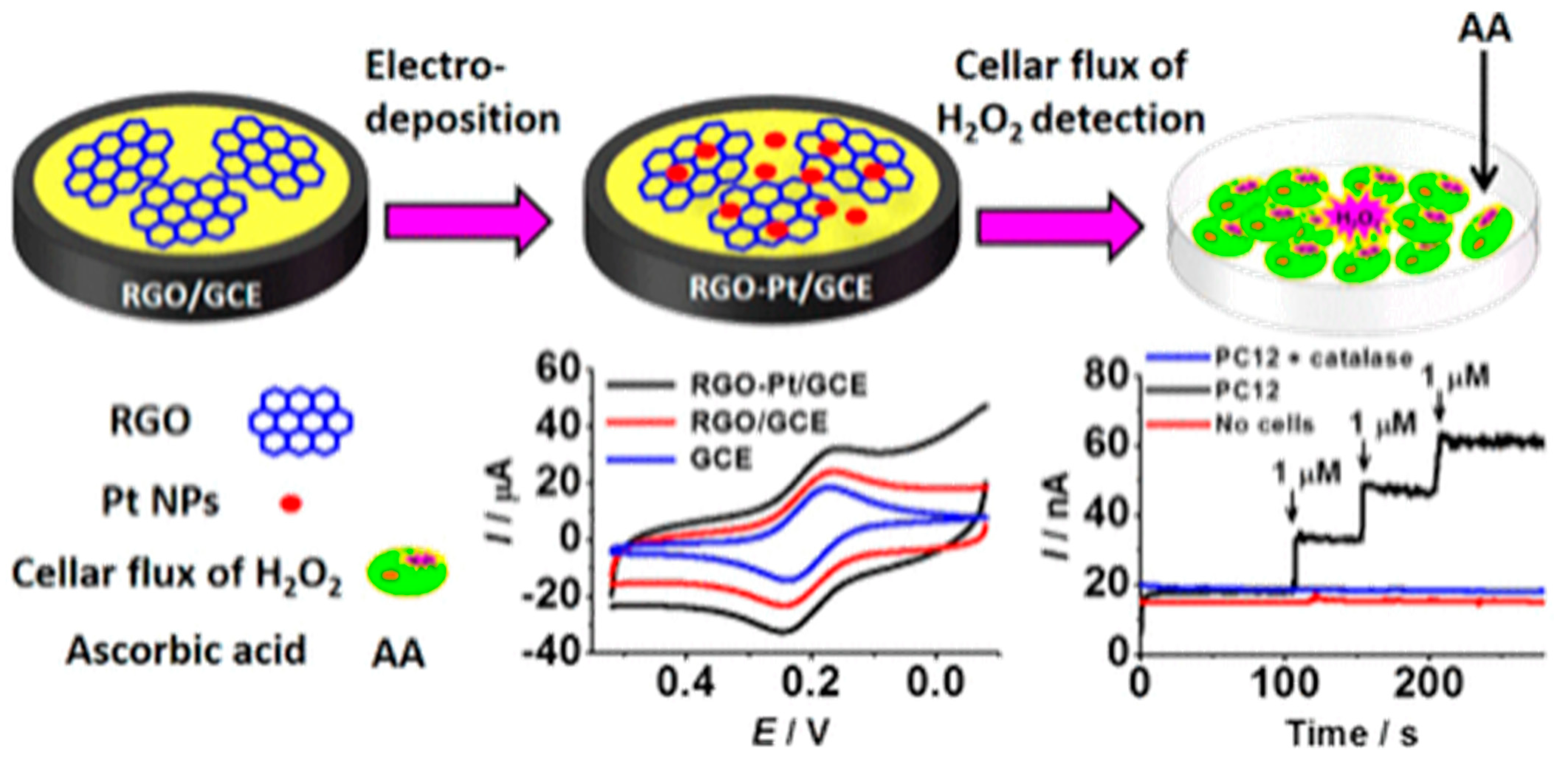Biosensors 12 00500 g003